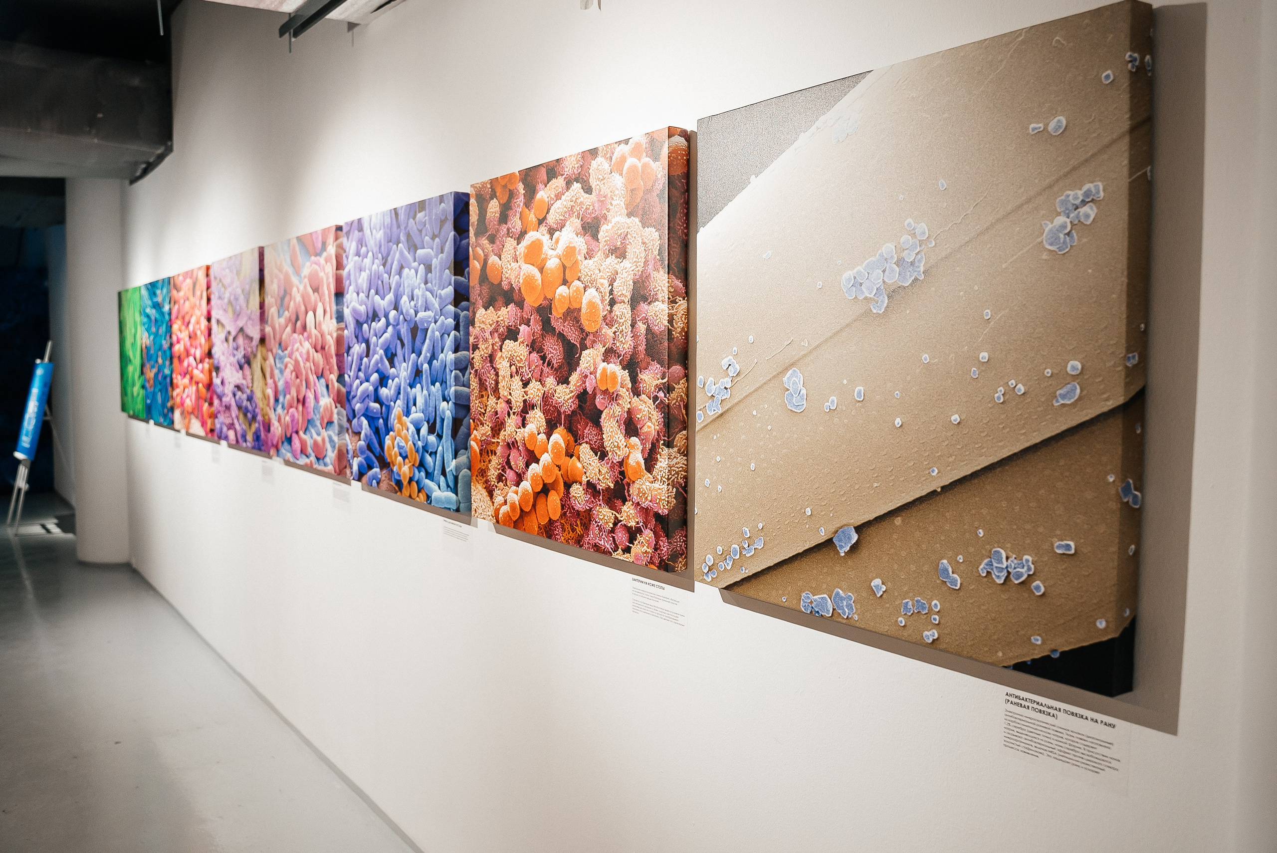 La Roche Posay. Павел Краснов — Свадебный и репортажный фотограф в Москве