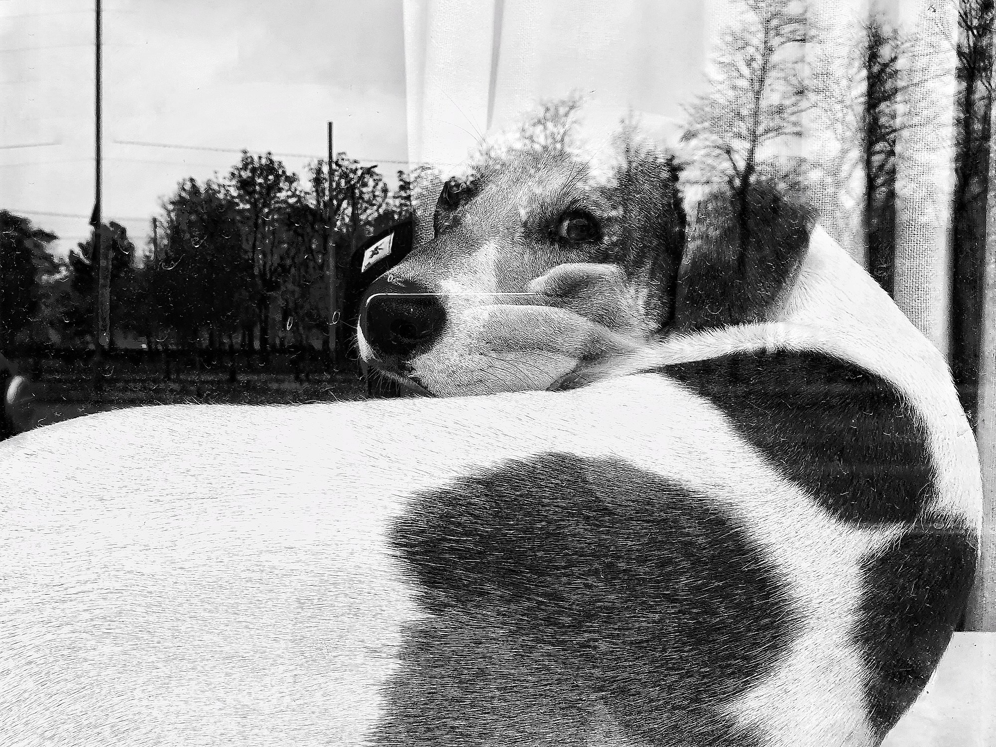 Уличная и жанровая фотография | Виктор Молодцов. Промышленная и репортажная фотография