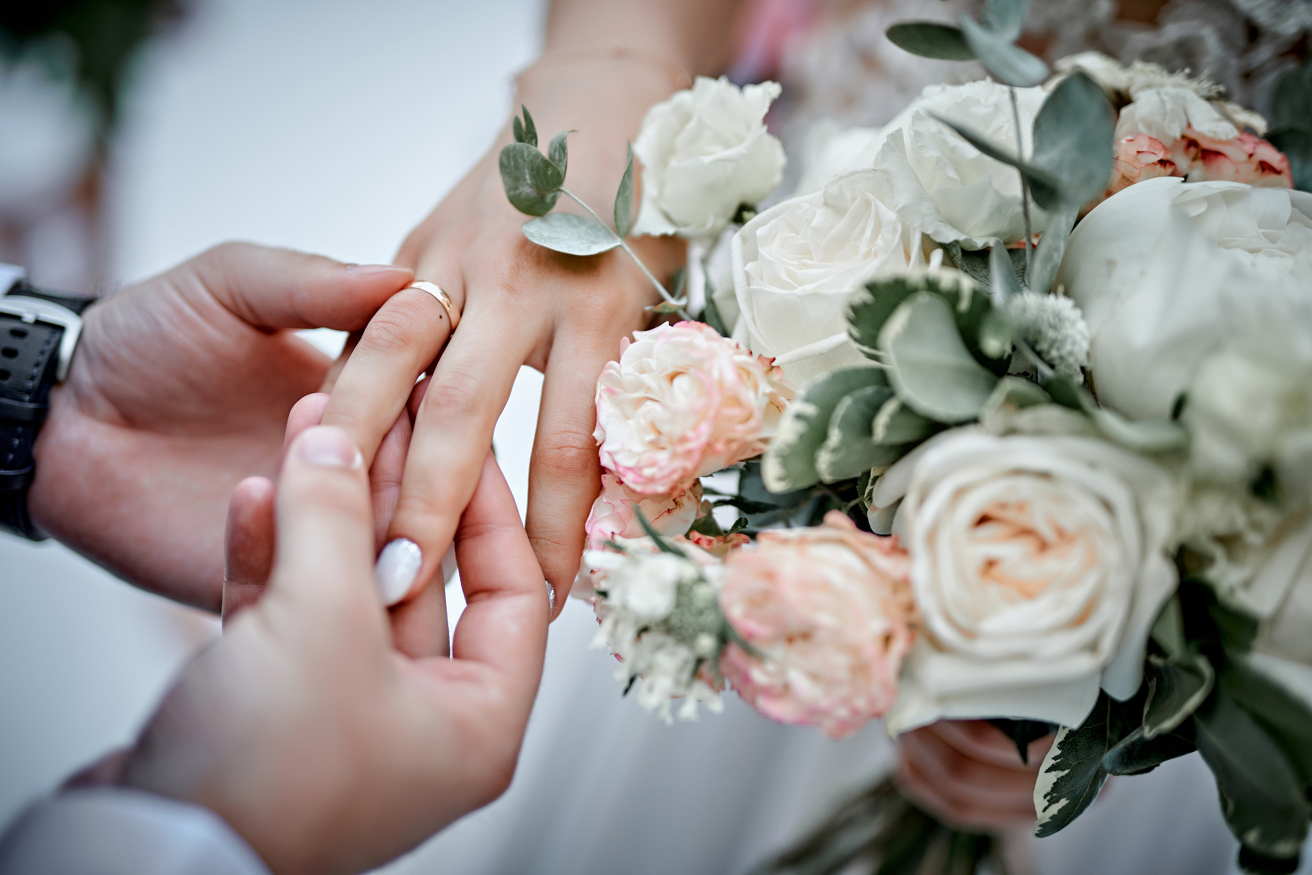 Свадьба Данилы и Виктории. Шератон. Фотограф Меняйло Евгений. Свадьба. Портрет. Репортаж. Семья. Контент