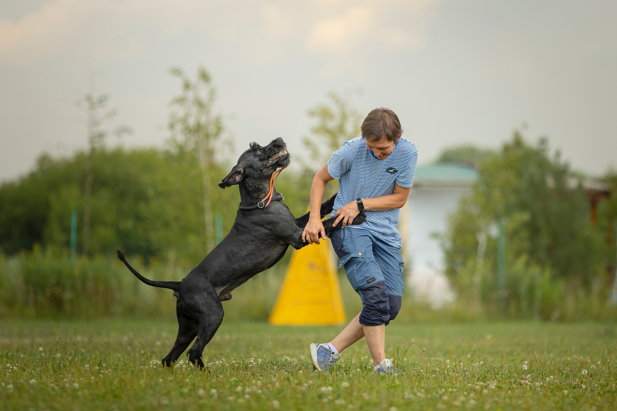 ЗКС. Фотограф анималист, семейный фотограф, фотограф собак Комратова Мария. г. Москва