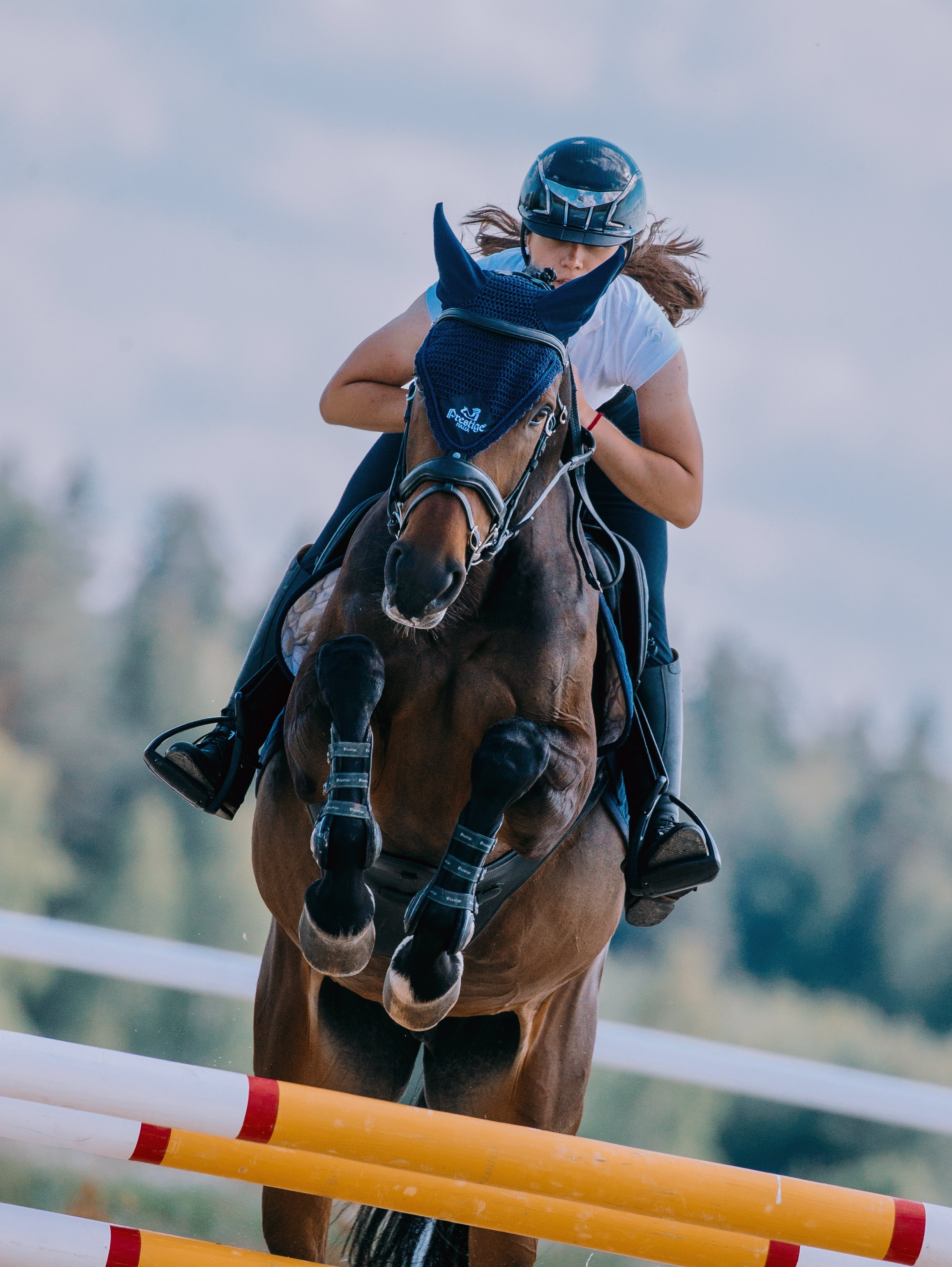 Тренировки. Фотограф-анималист Ксендзова Кристина