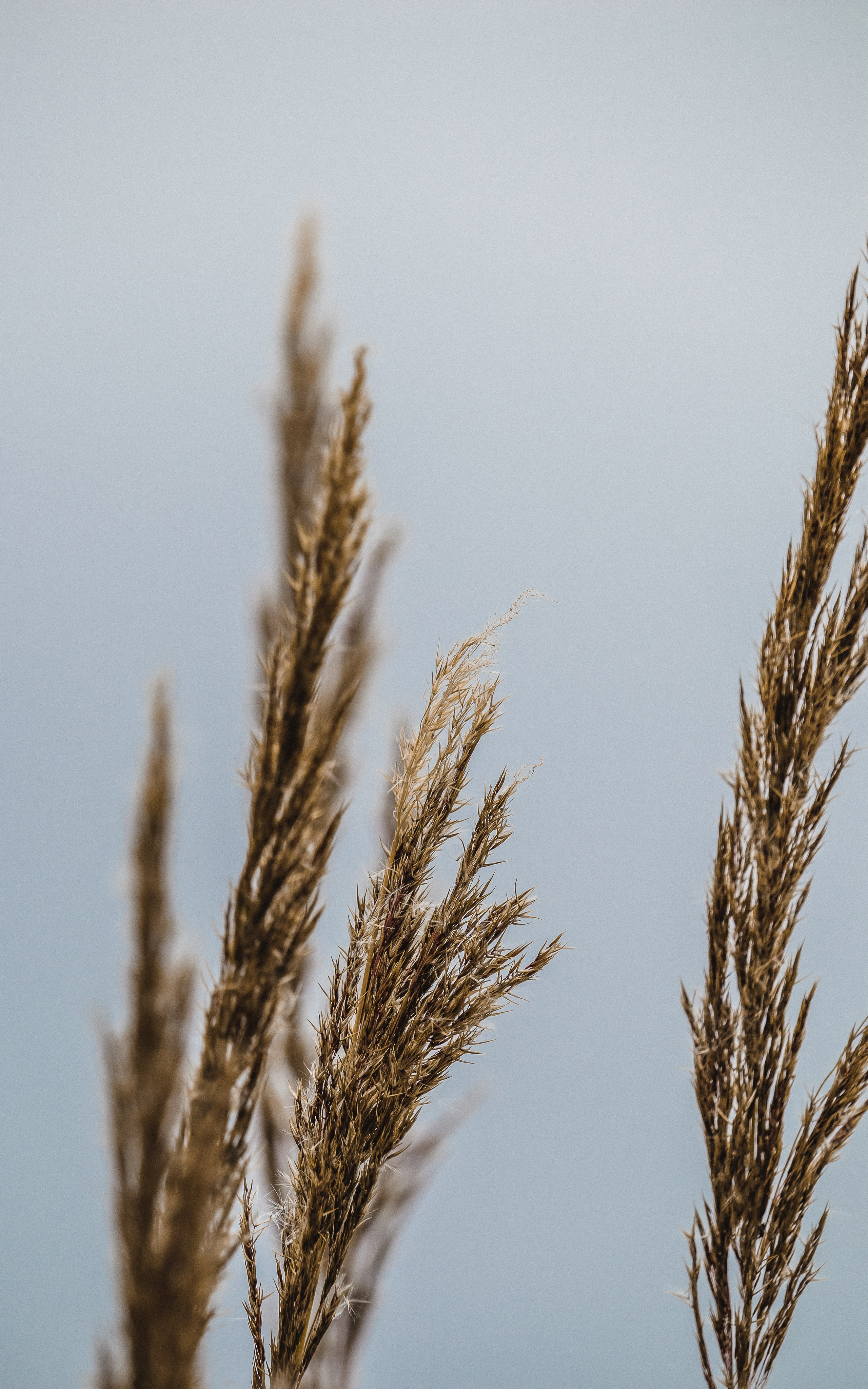 Жизнь. Фотограф Алматы | Весь мир — Никита Колодин