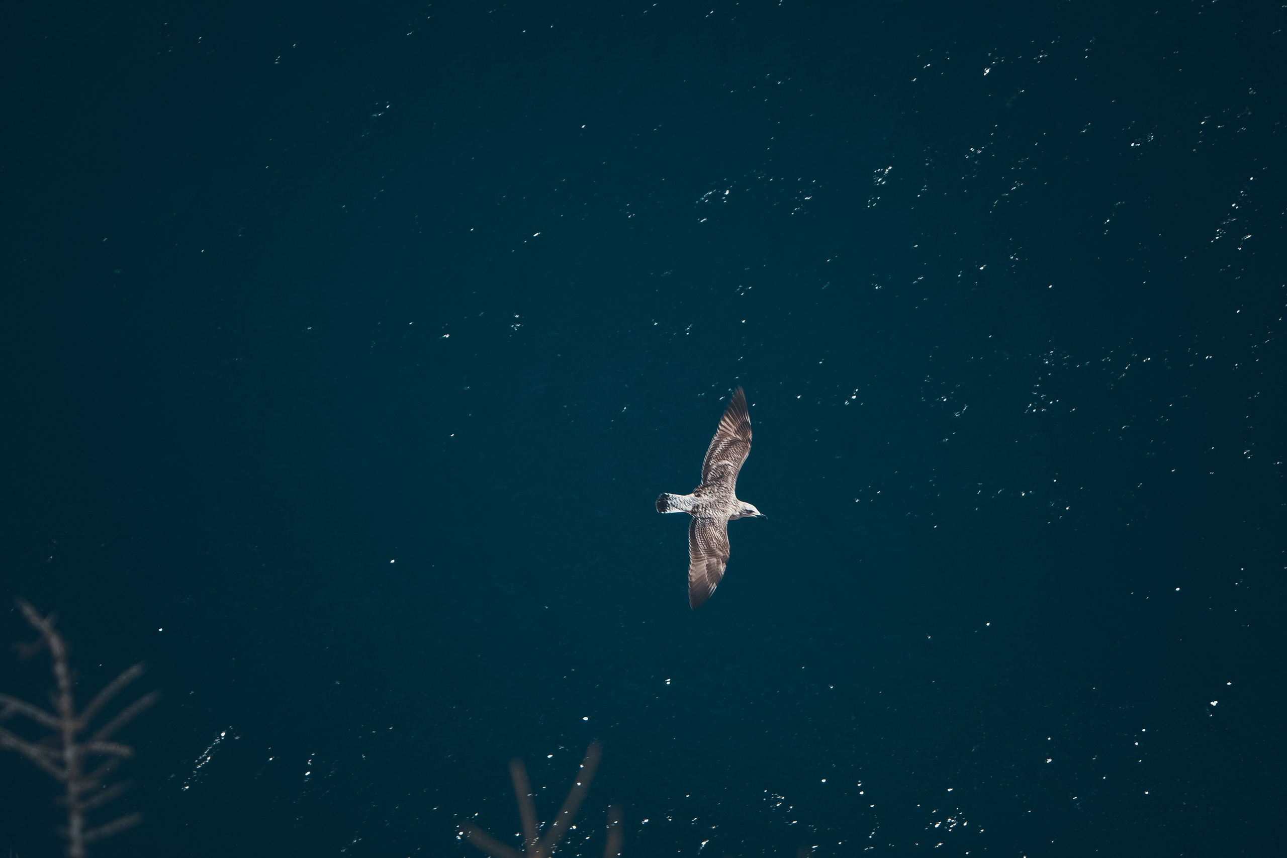 Испания. Свадебный фотограф Копков Геннадий
