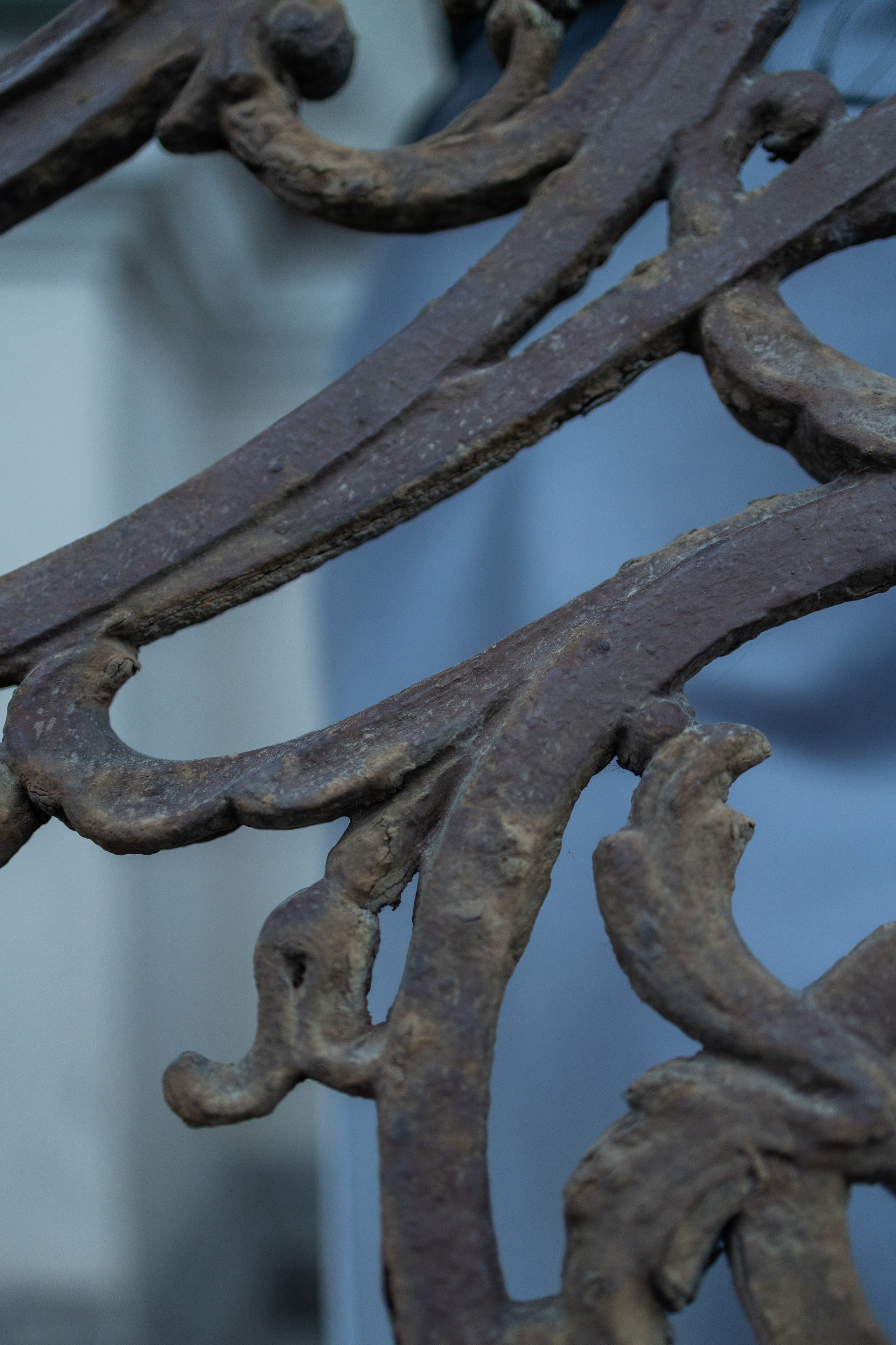 Эстетика П р о Я в л е н и я. Виноградова Маргарита. Фотограф P r o Явления