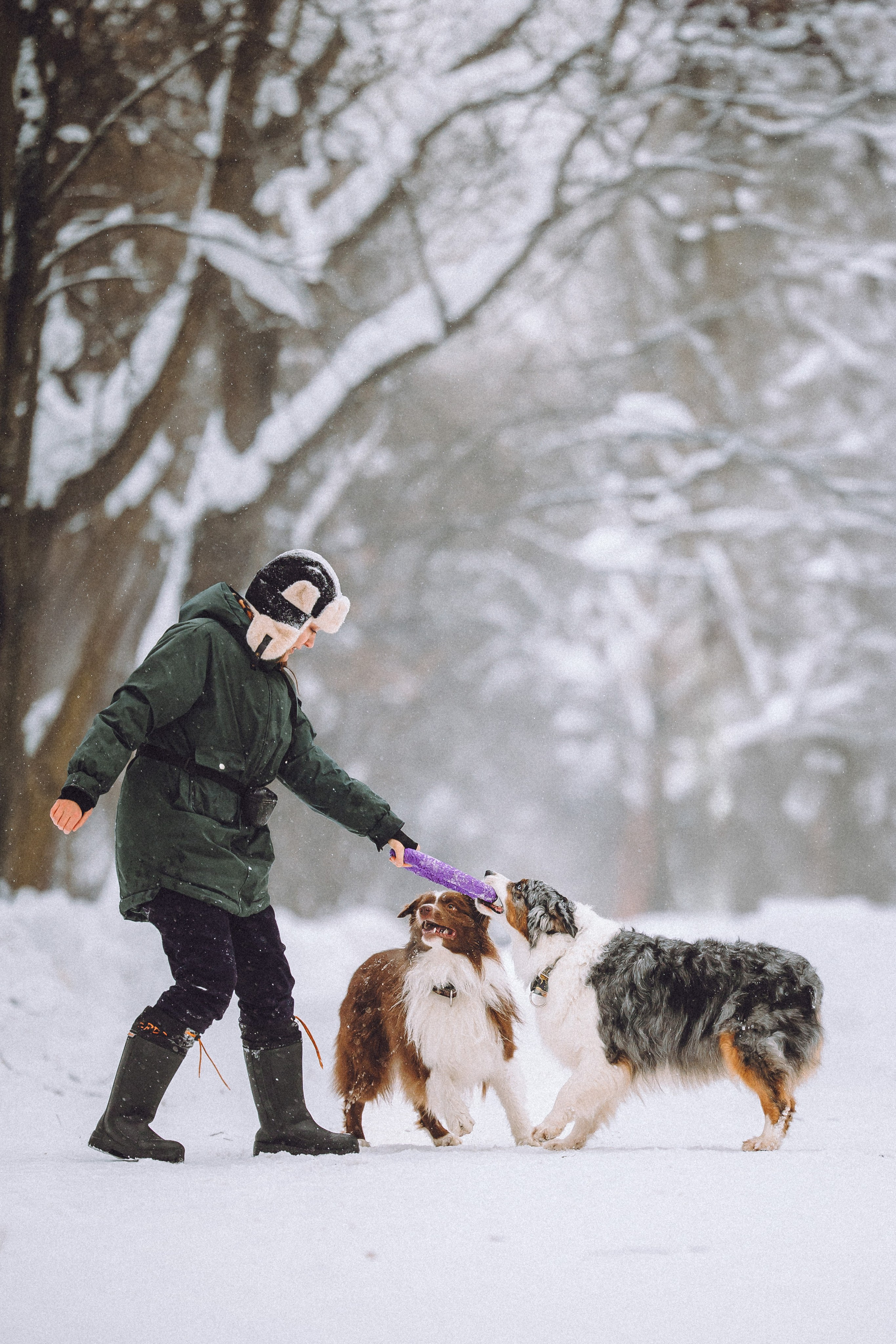 Лена, Принц и Фенек