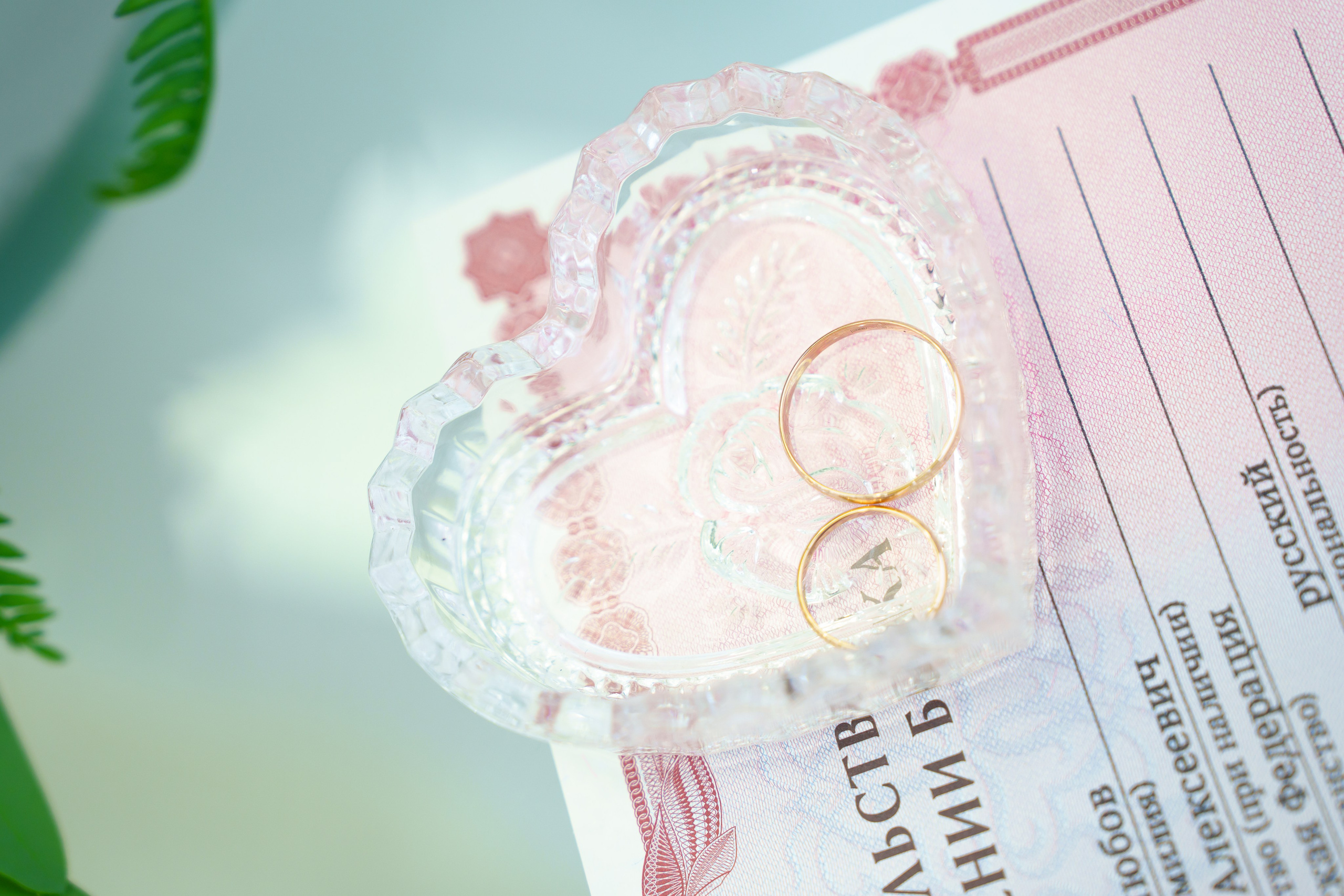 Роспись Сергей и Ксюша 04.08.2023 г. Фотограф Светлана Боровикова в Домодедове