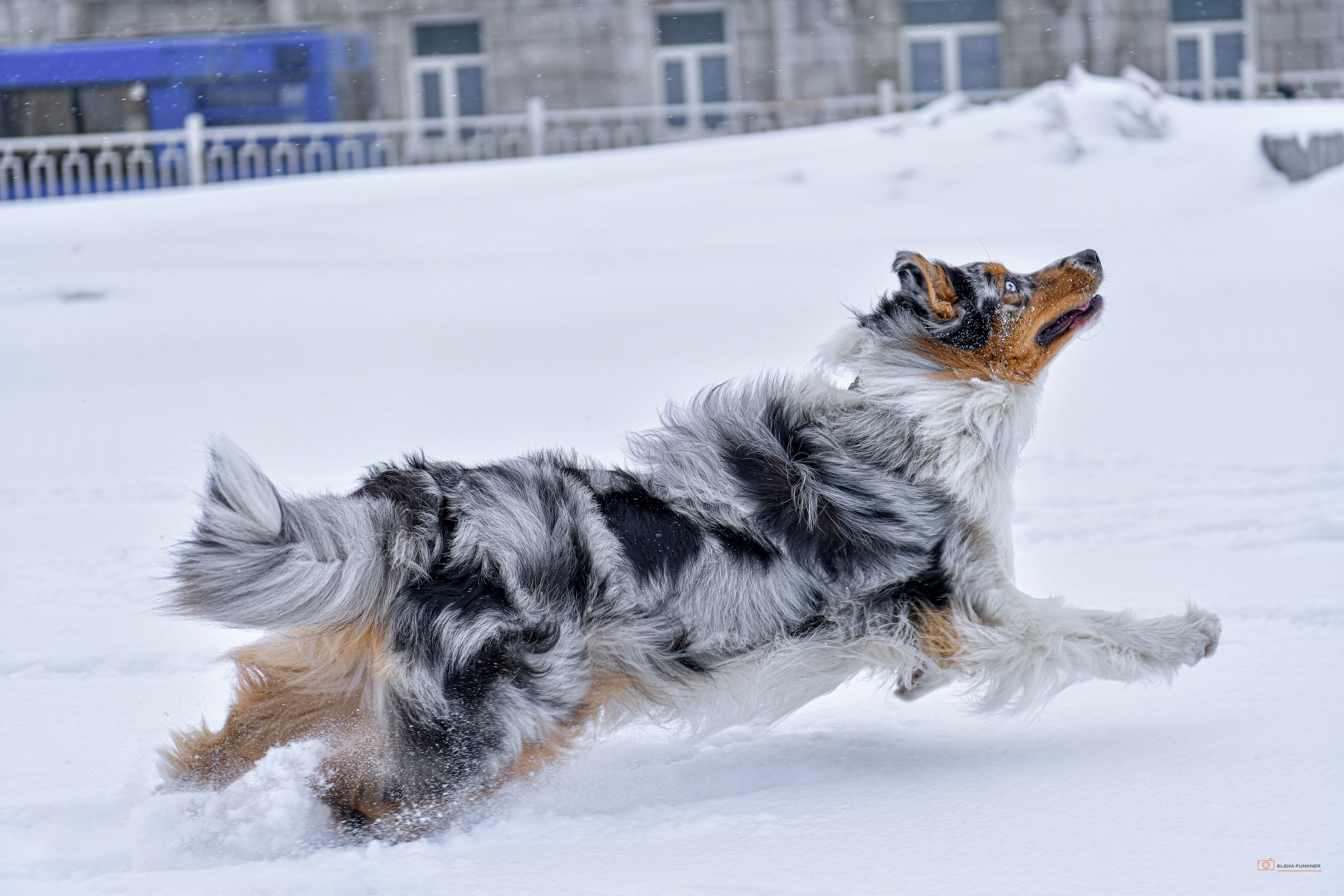 Зима. Свой взгляд через объектив
