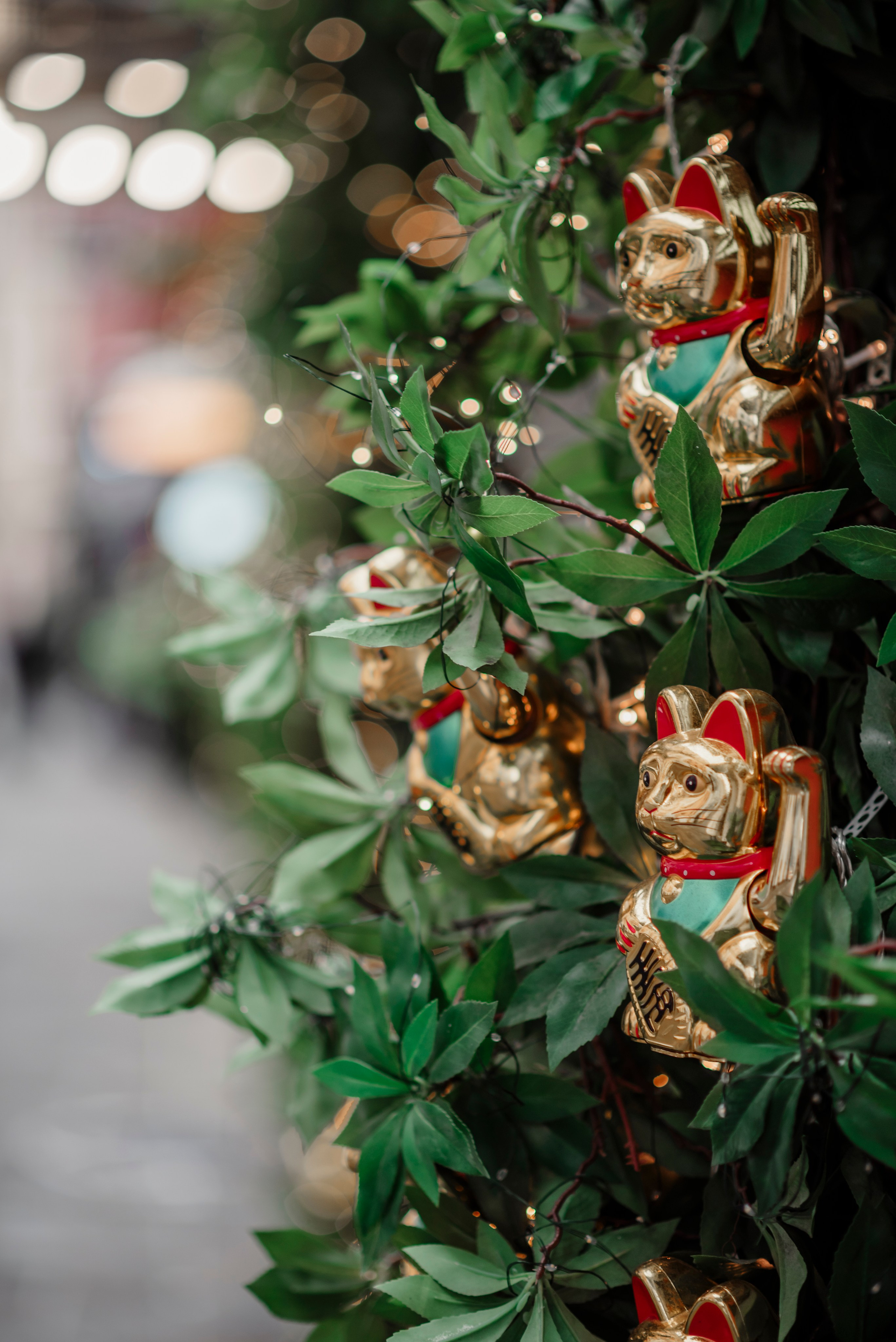 Новогодние. Свадебный и семейный фотограф в Москве Лера Леридзе