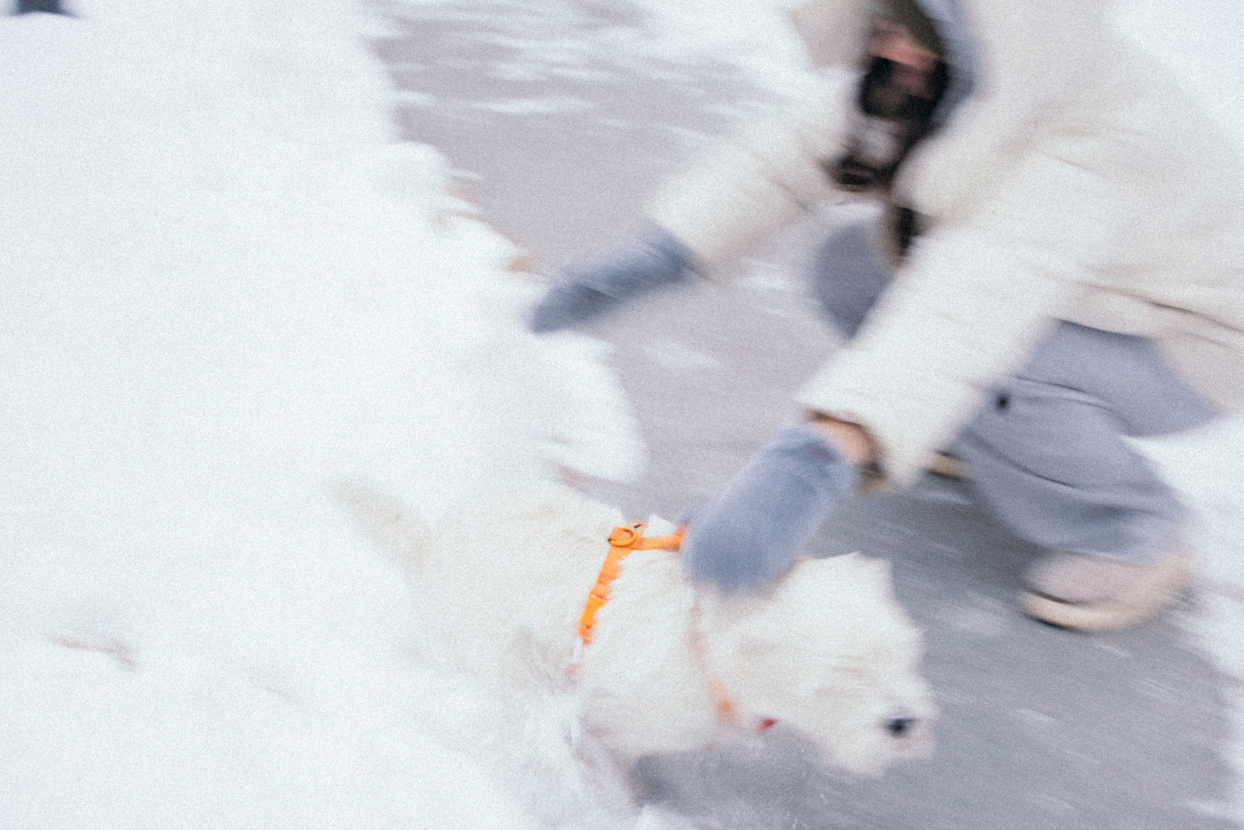 Арина и Обеликс. Фотограф Виктория Куприянова