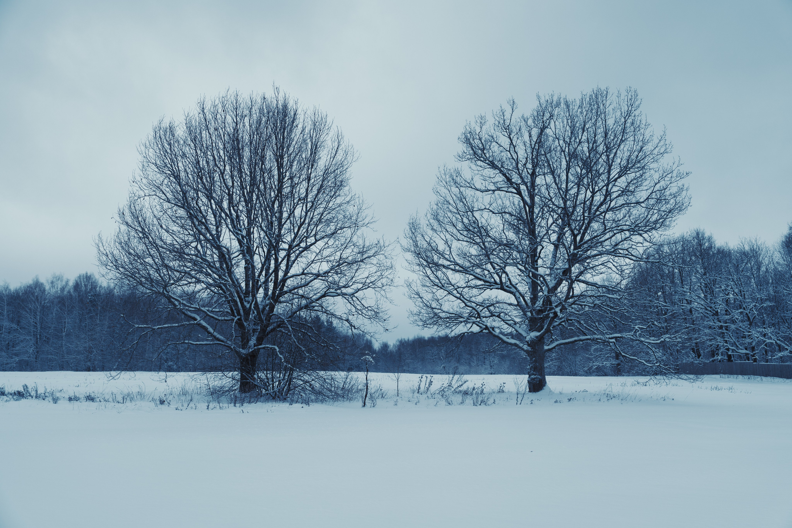 Loweliness. Backstage. @tomrus: Рустам Шагиморданов — фотограф