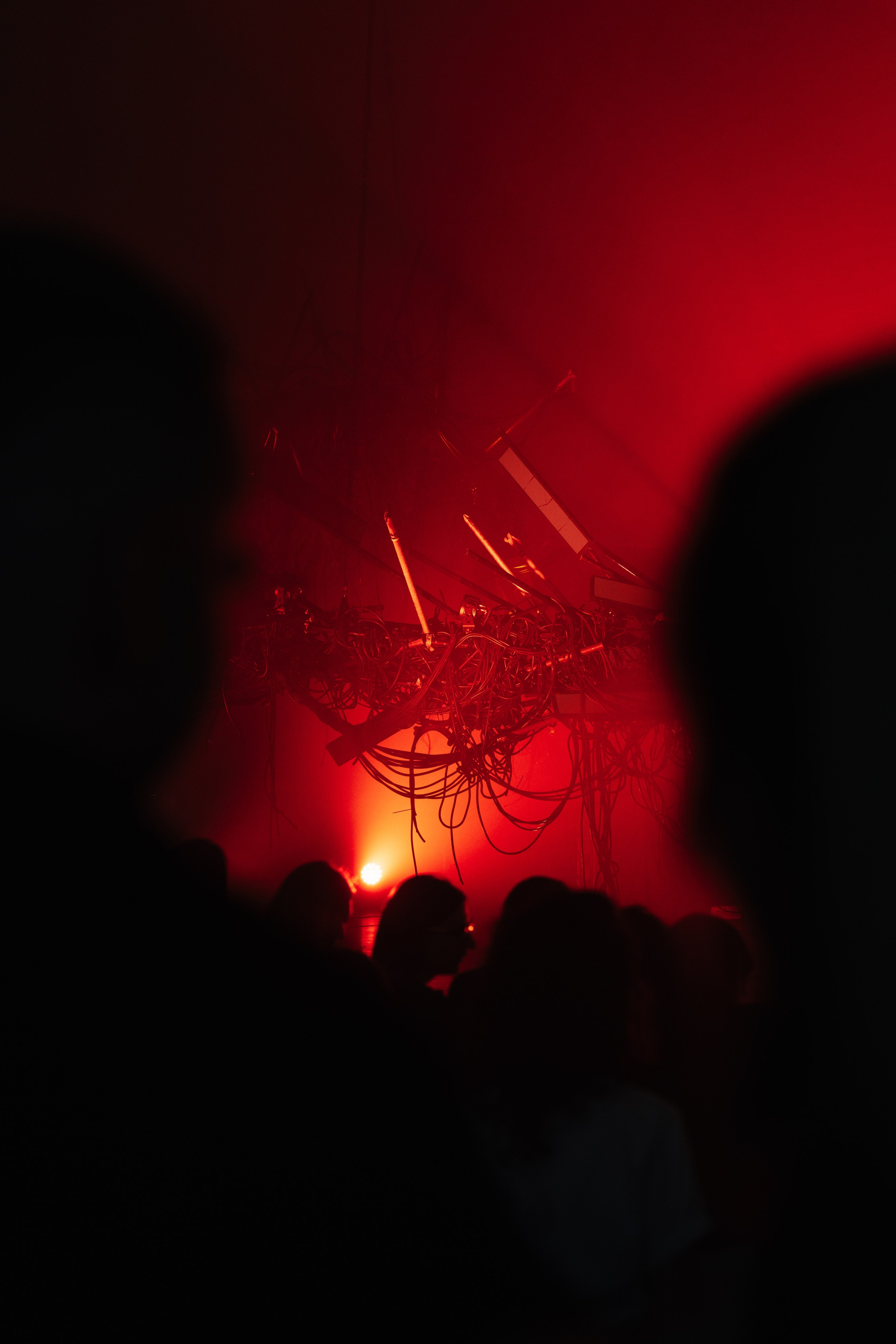 PERFORMA, The Hour of the Horse. @tomrus: Рустам Шагиморданов — фотограф