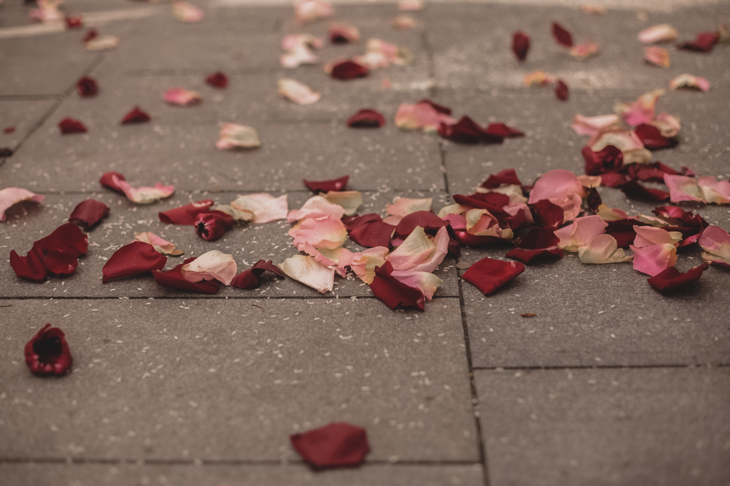 My love. Главная