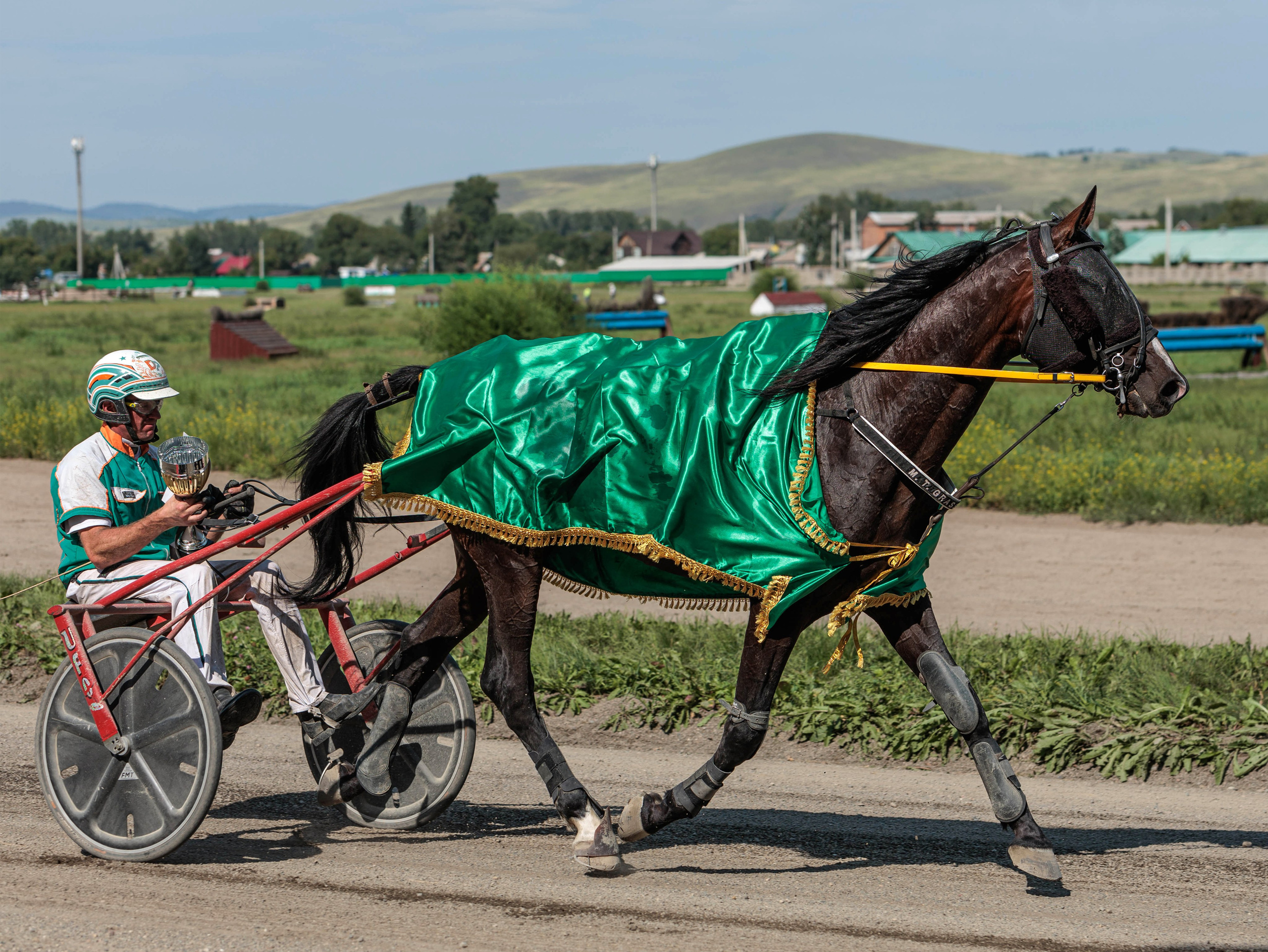 Зарисовки Абаканский ипподром 2025. Конный фотограф в Красноярске — Любовь Похабова