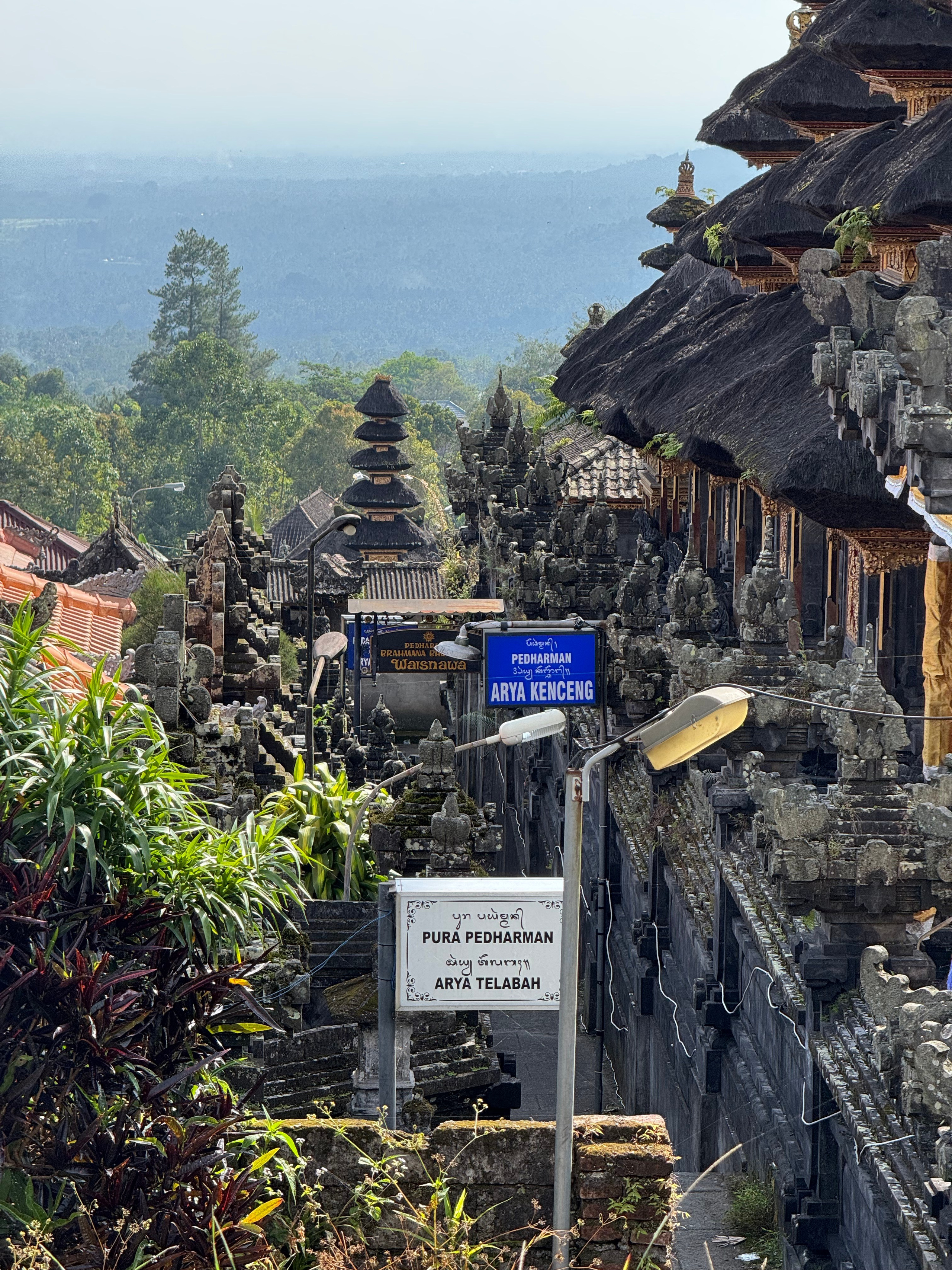 Бали. Убуд 2025. А вот и да!