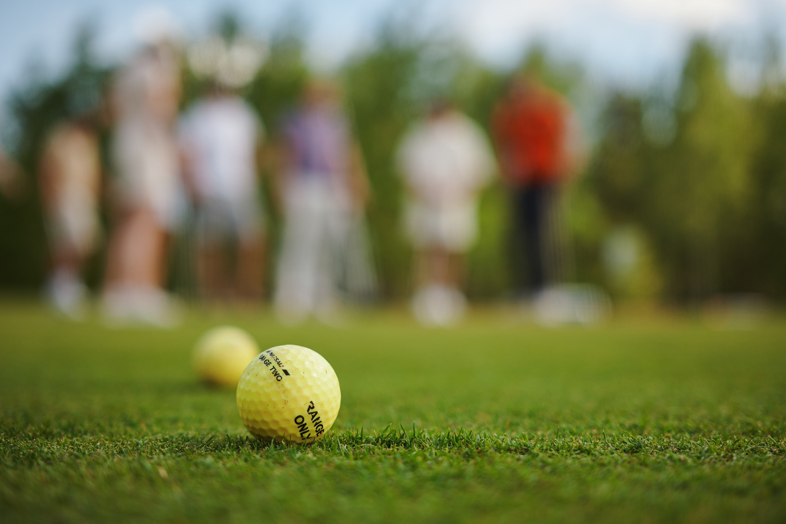 Мастер класс по гольфу. Главная