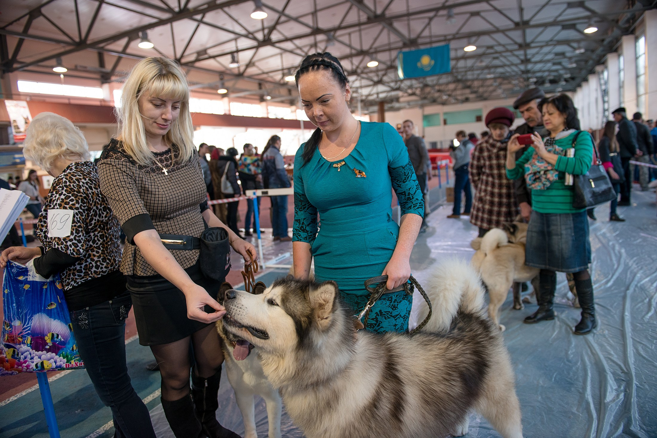 Для СМИ. Фотограф в Калининграде Сулейманов Амирхан