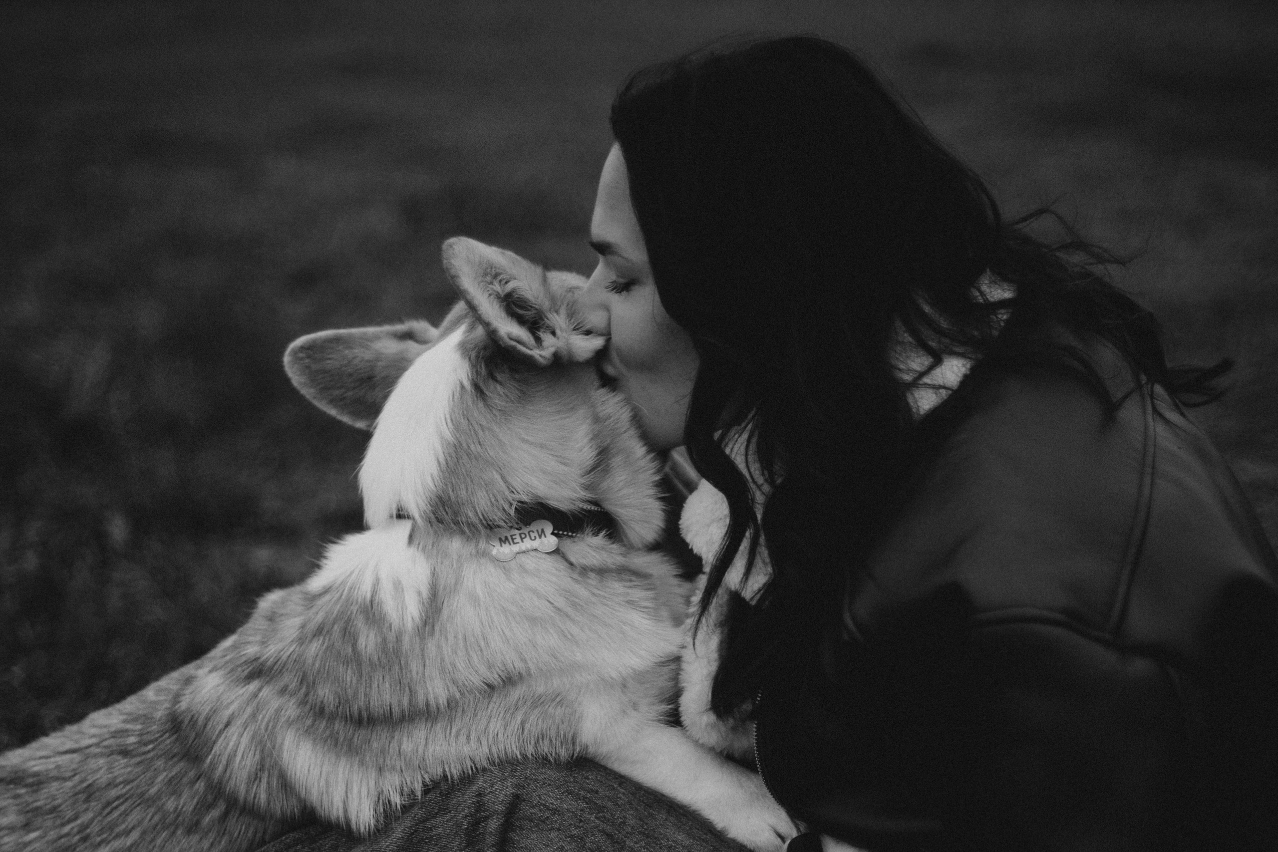 Настя, Никита и Мерси. Семейный и детский фотограф Красноярск Иркутск Денк Анна