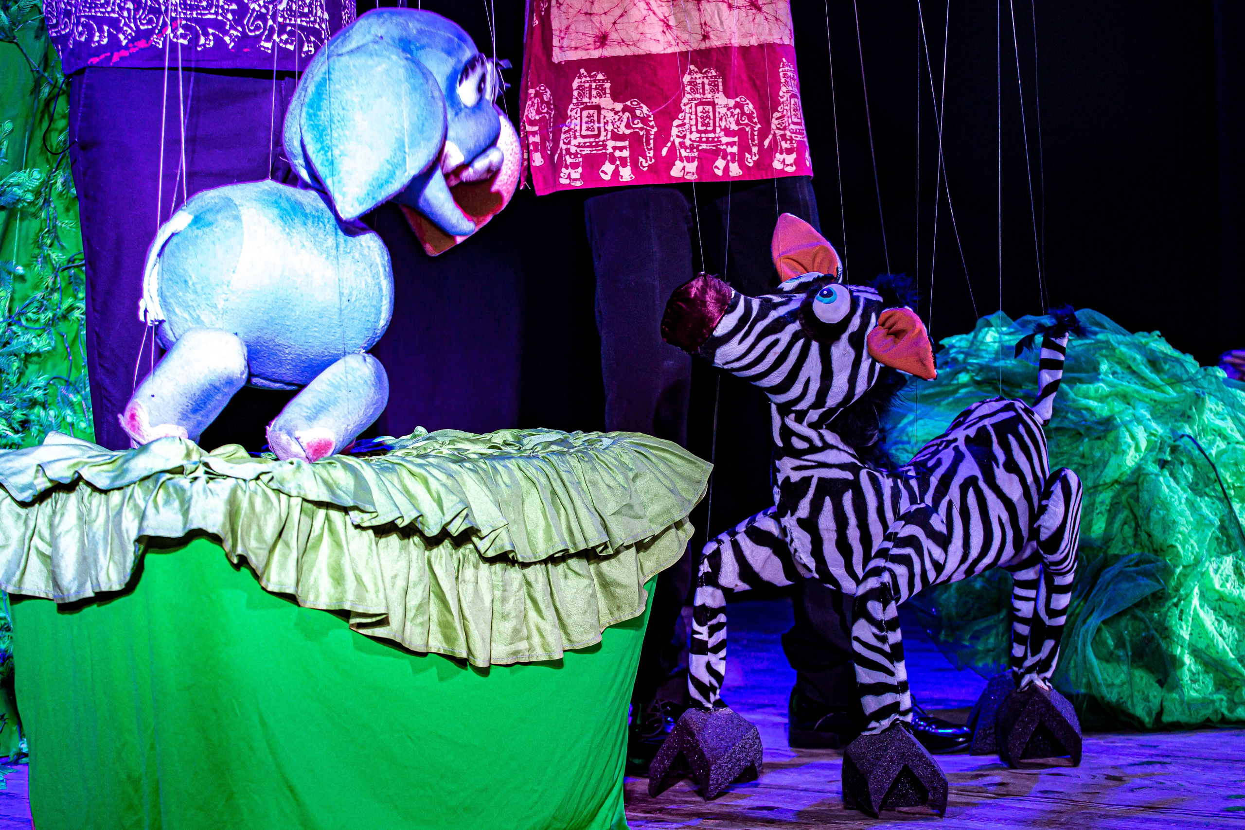 Любопытный слоненок спектакль театра Саквояж. Фотограф в Сочи Юрий Шептаев