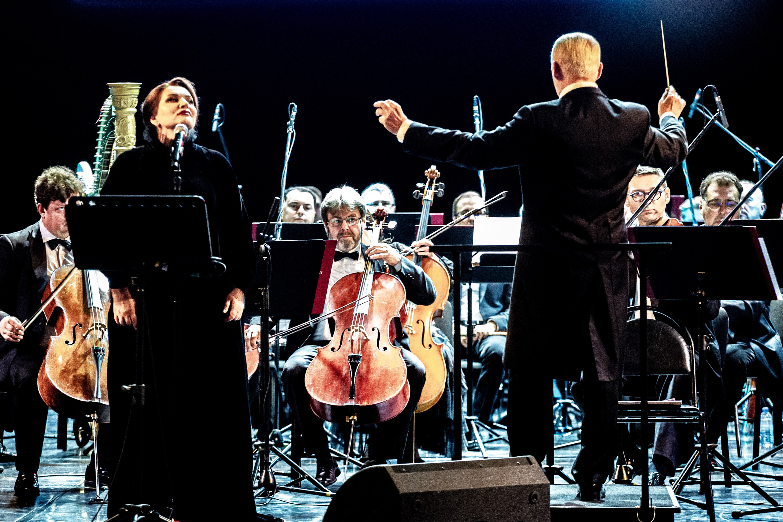 КОНЦЕРТ «Я люблю тебя, жизнь!». Фотограф в Сочи Юрий Шептаев