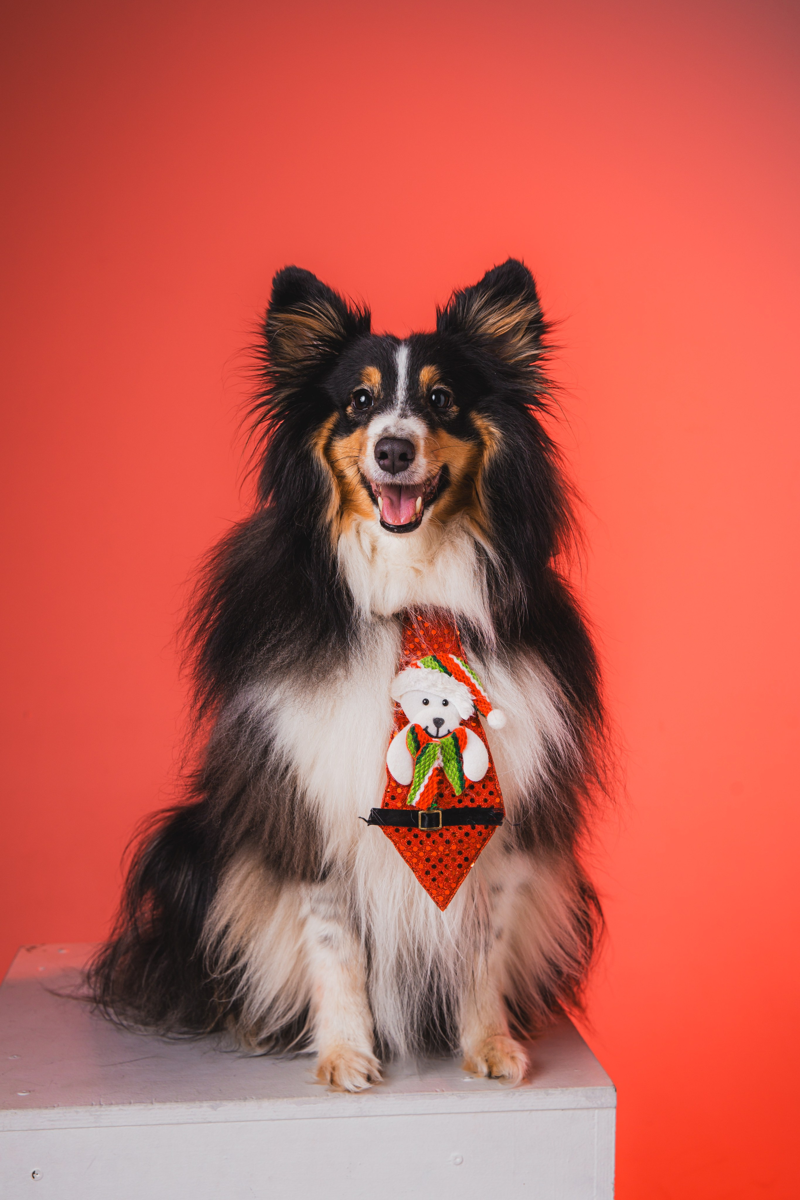 Воркшоп по импульсному свету