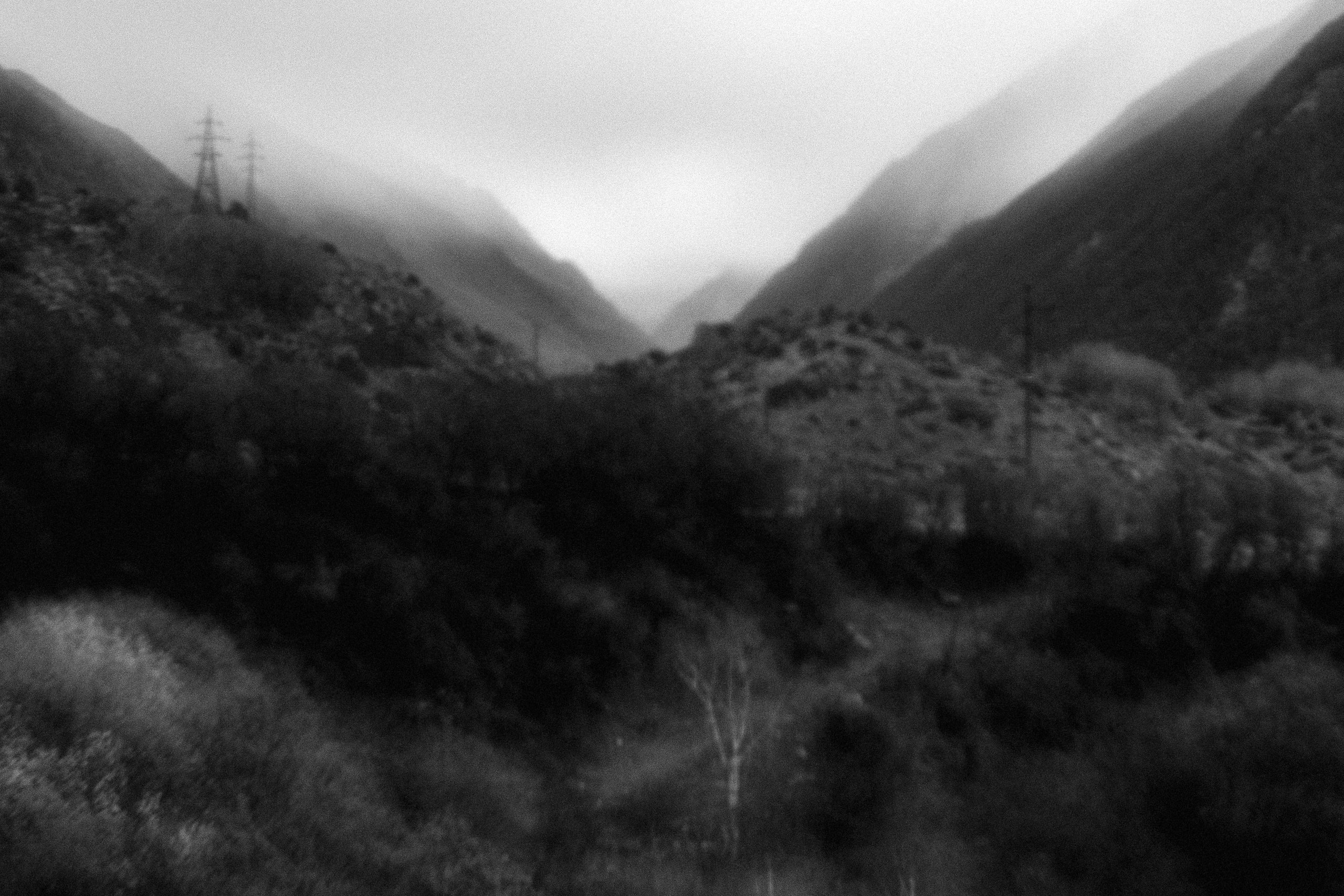 Ч.б. фотографии. Фотографии Лены Соколовой