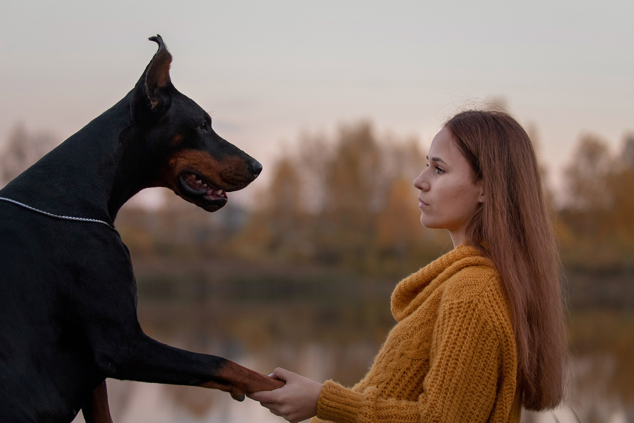 Ева и Тео. Фотограф анималист в Казани Алина Сулейманова. Фотограф животных
