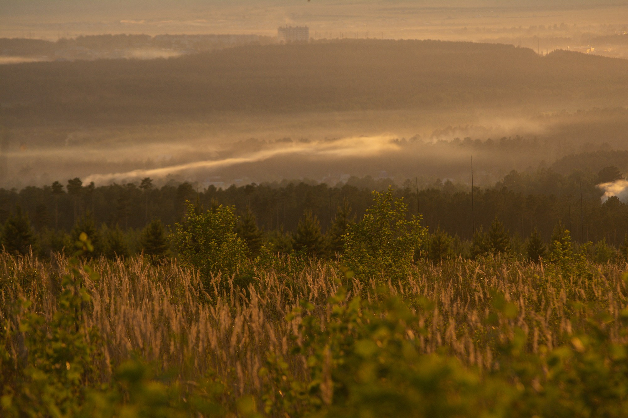Разное. Репортажный фотограф г. Чита