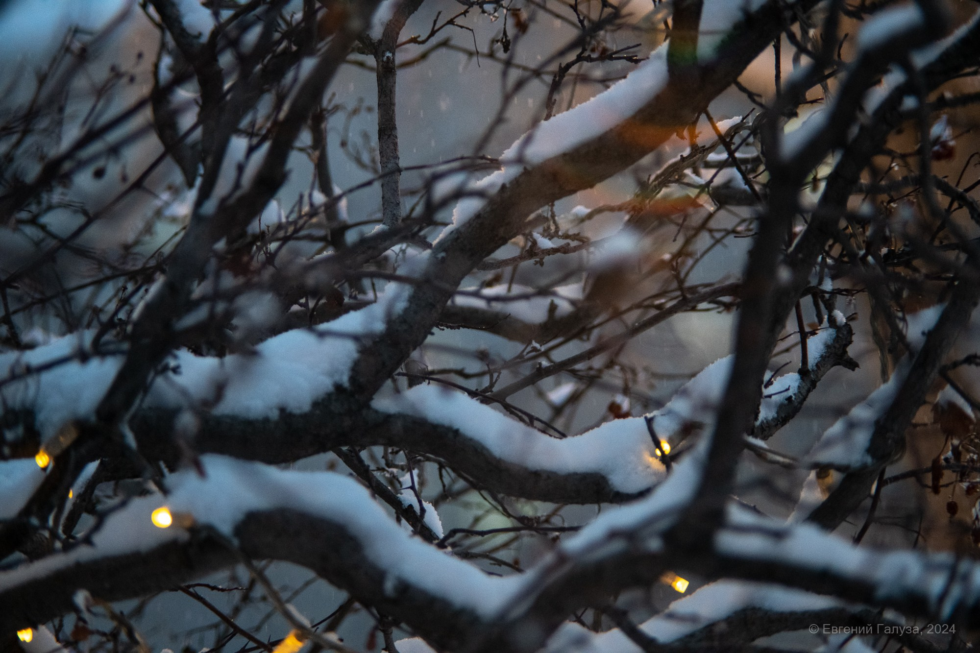 Разное. Репортажный фотограф г. Чита