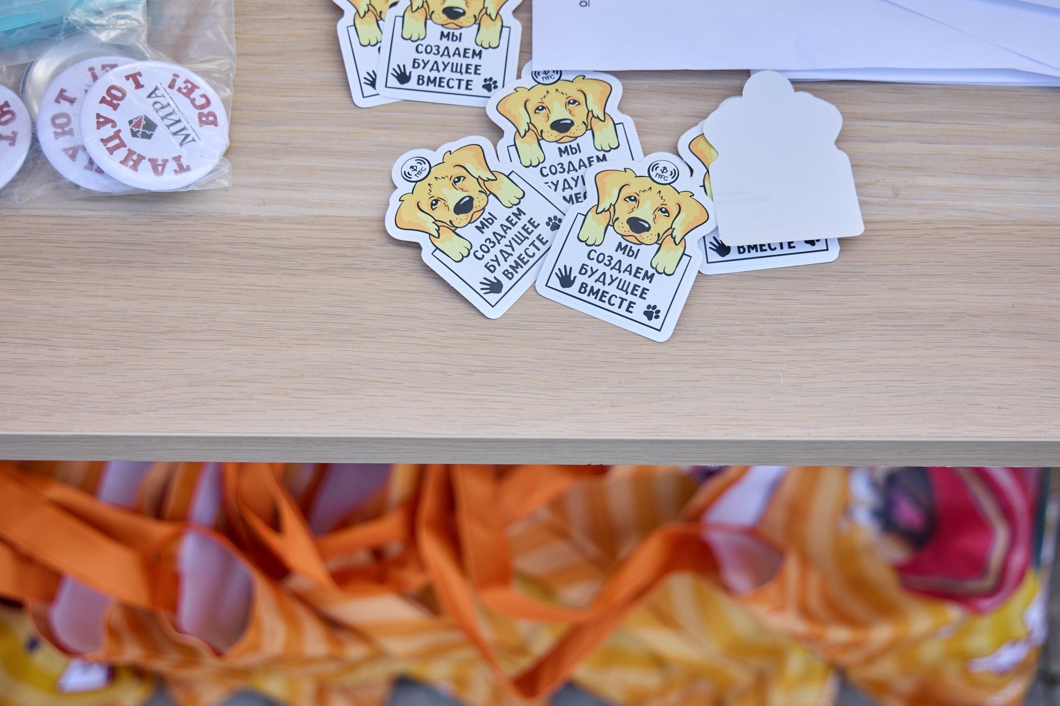 Инклюзивный фестиваль «Три шага к победе». Фотограф Ирина Астор