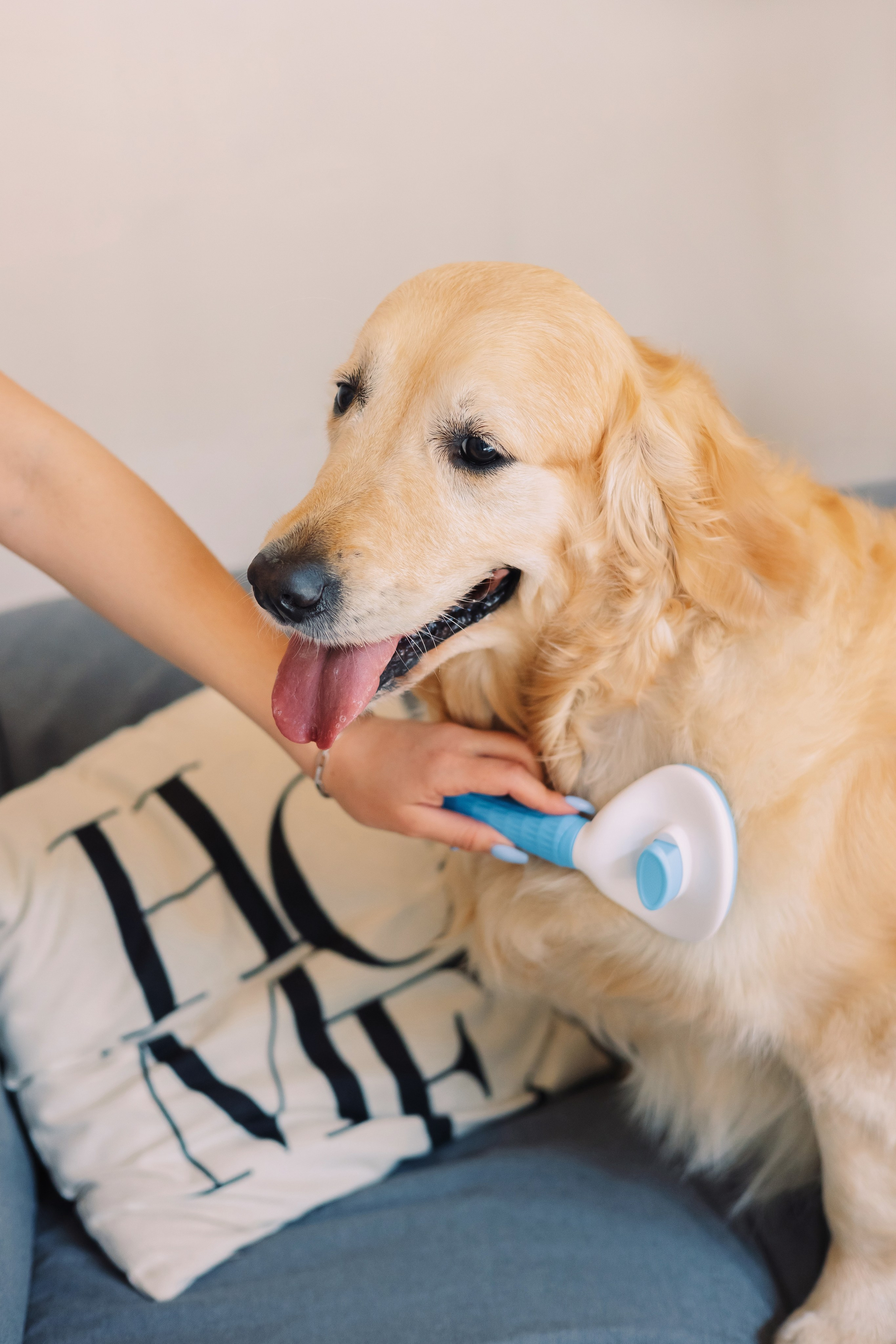 Магазин Friend of mine. Фотограф-анималист Елена Радченко, Москва