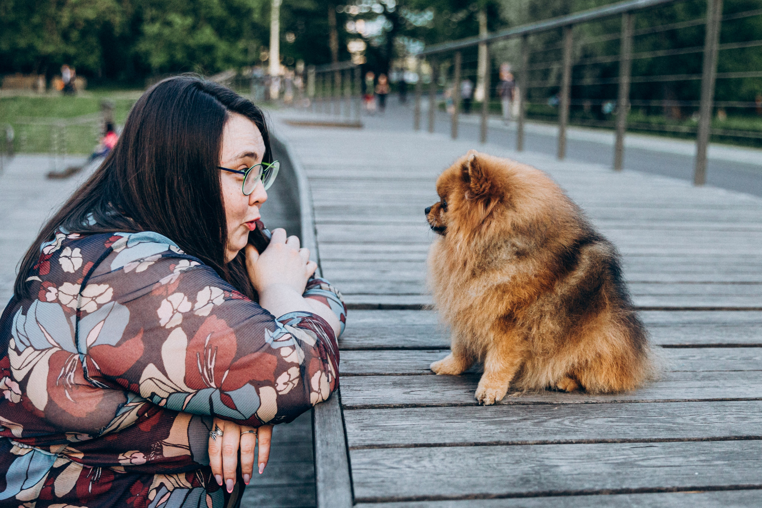 Яна и Халк. Фотограф-анималист в Москве Соломонова Варвара