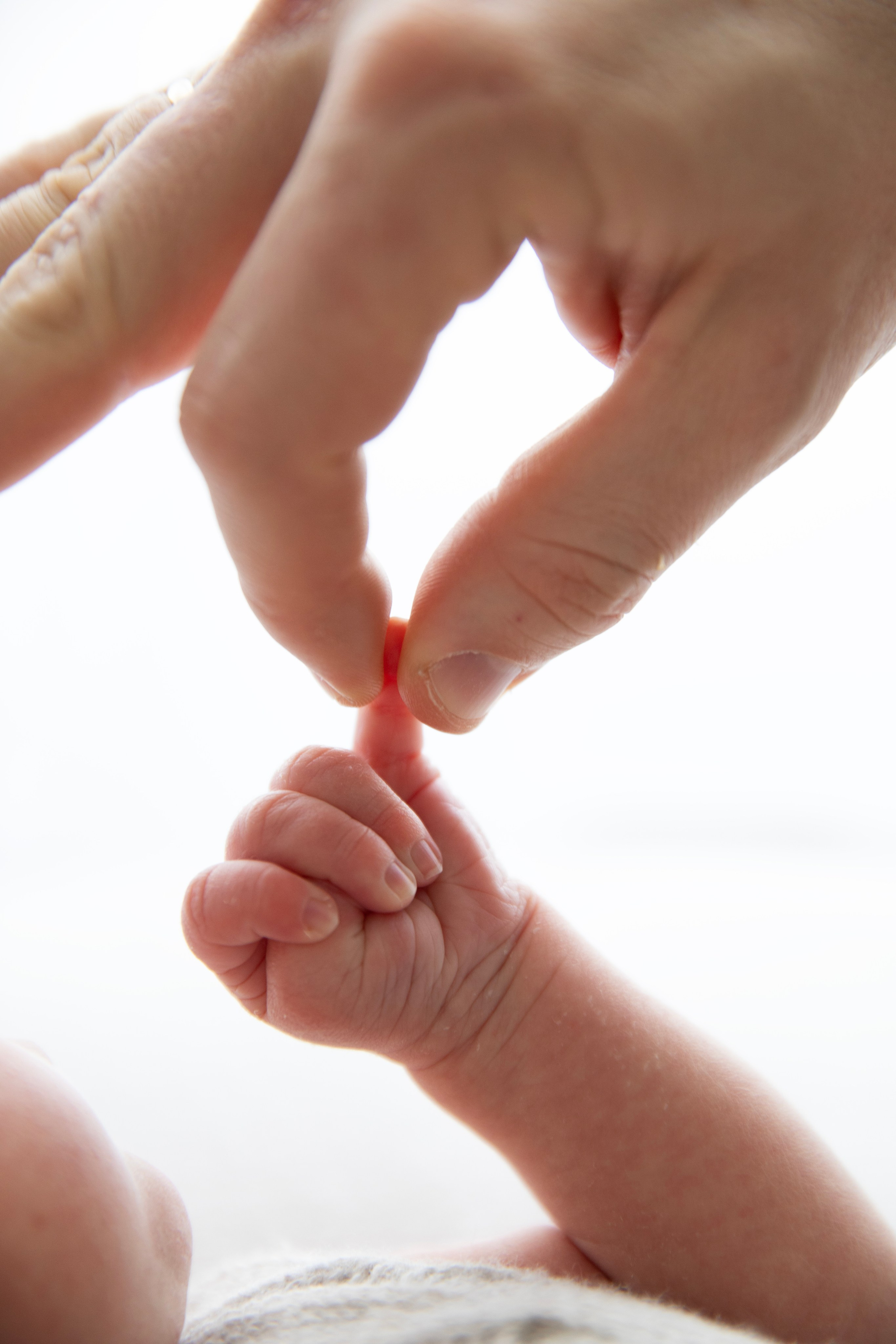 «съемка новорожденного с братом» «студийная съемка малышей». Фотограф новорожденных, детский фотограф  Москва.Семейная съемка Москва. Семенова Анна