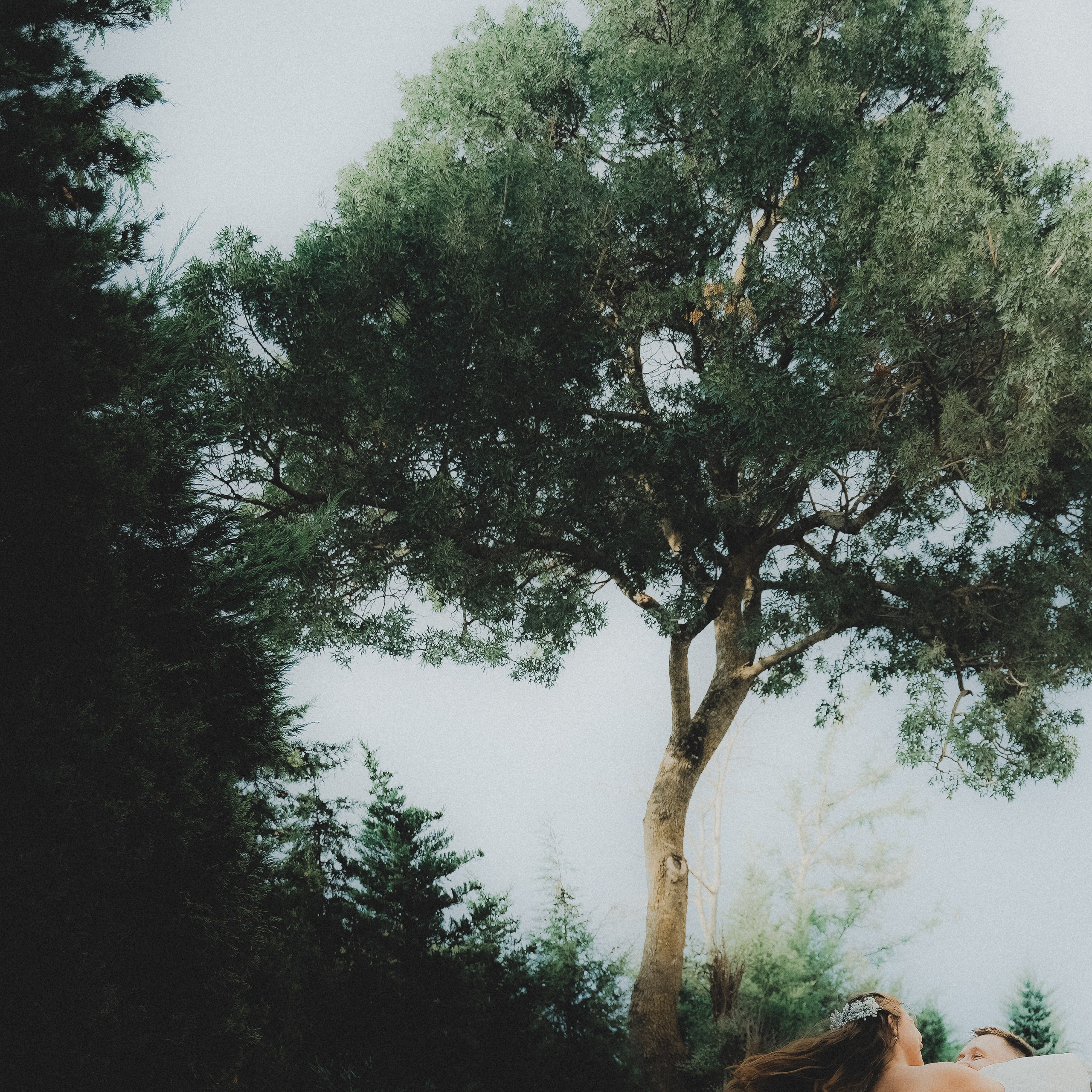 Wedding. VISUAL ARTIST · KRONGAUZ ANASTASIA