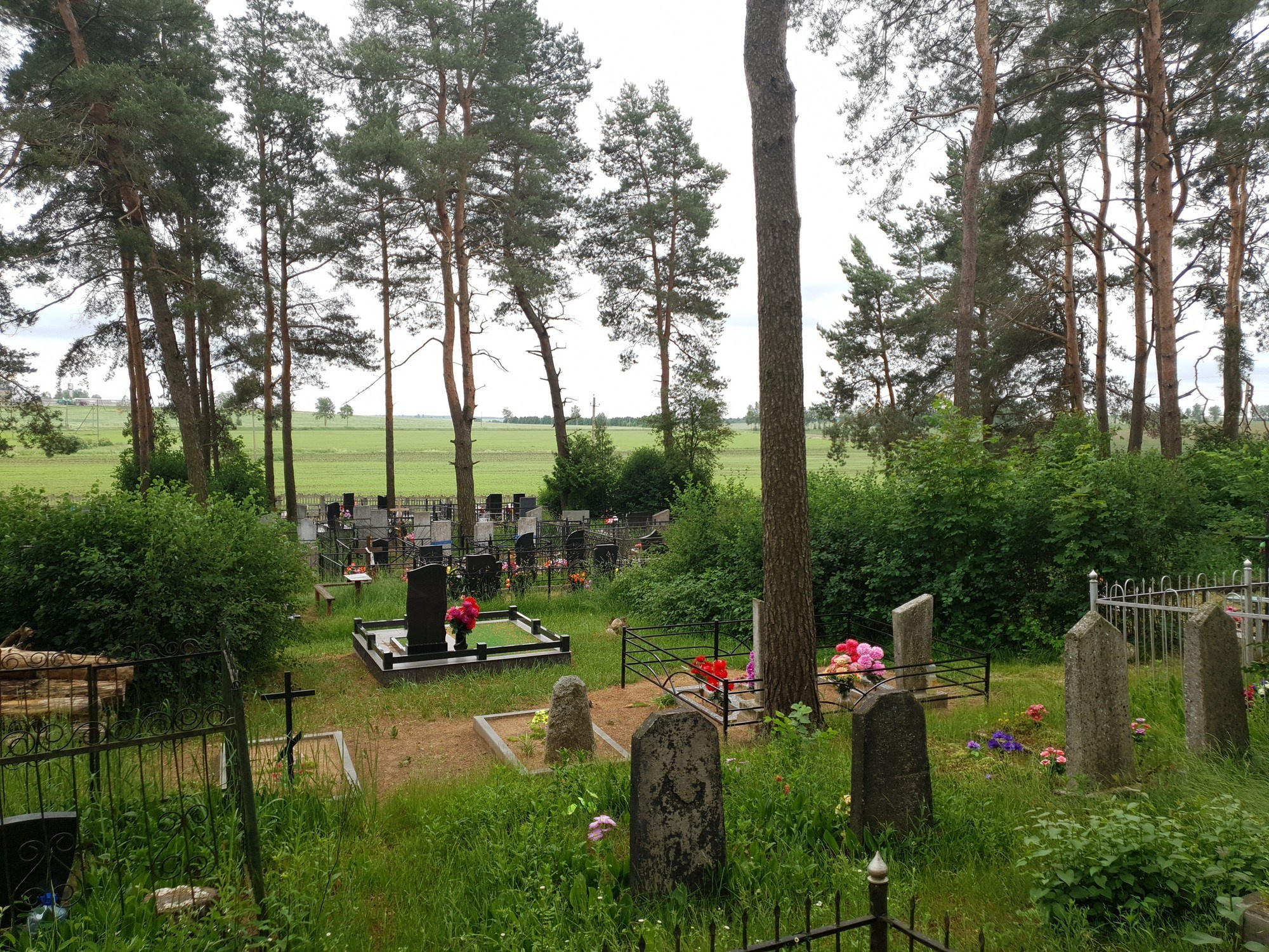 Home.land. Künstler Verstecktoff