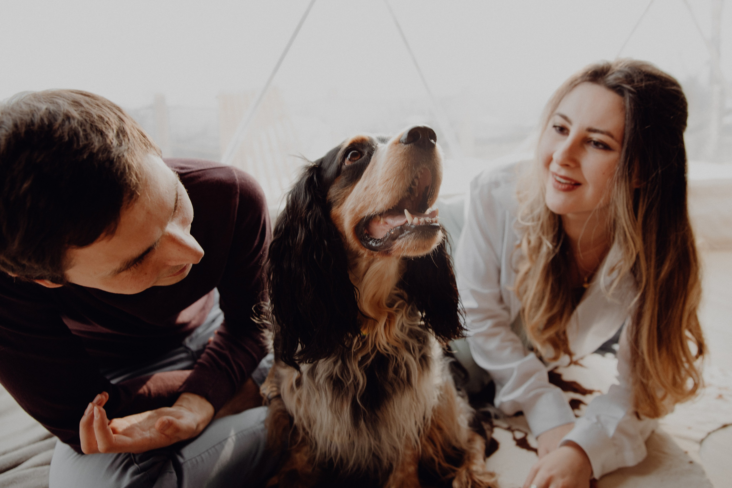 Ася ღ Заур. Портфолио