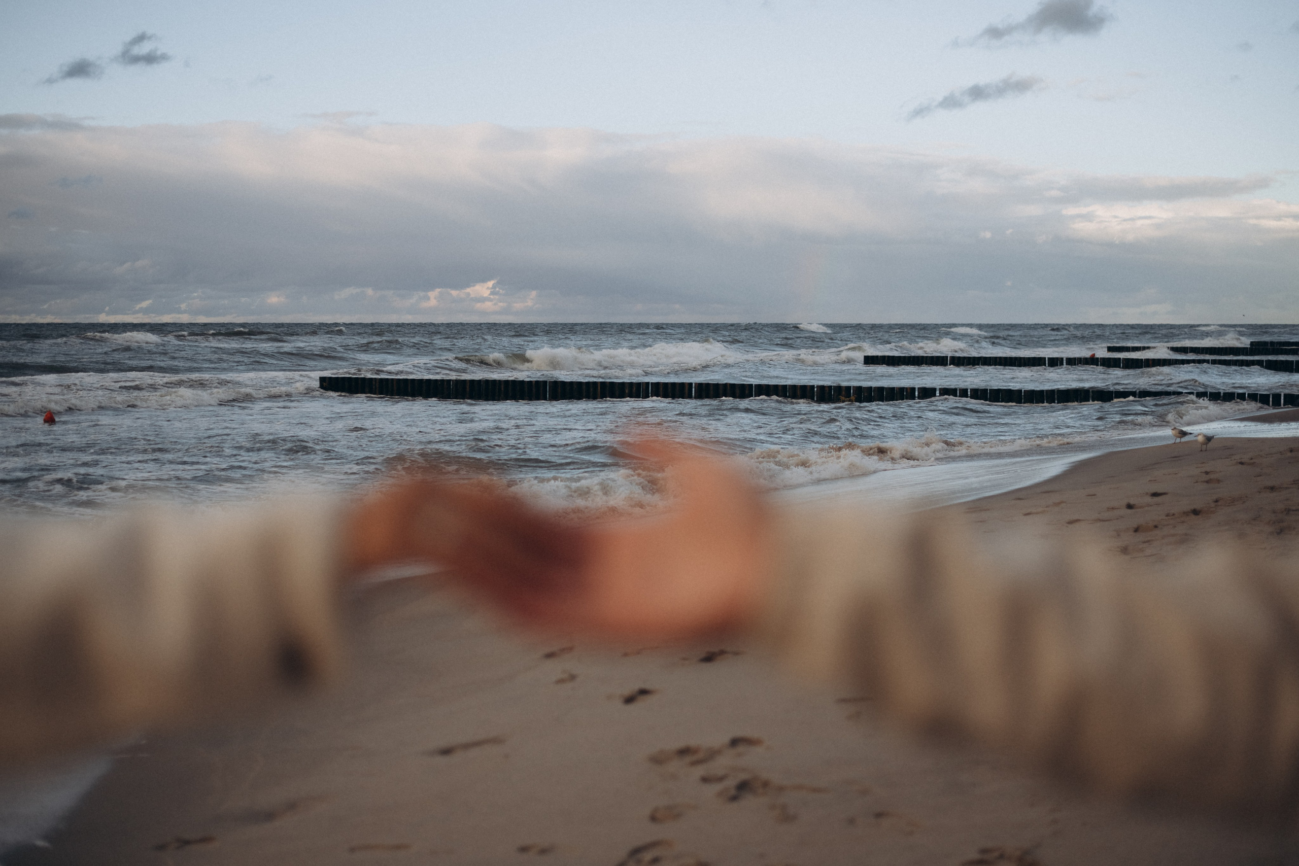 Семейная съемка на море, Калининград