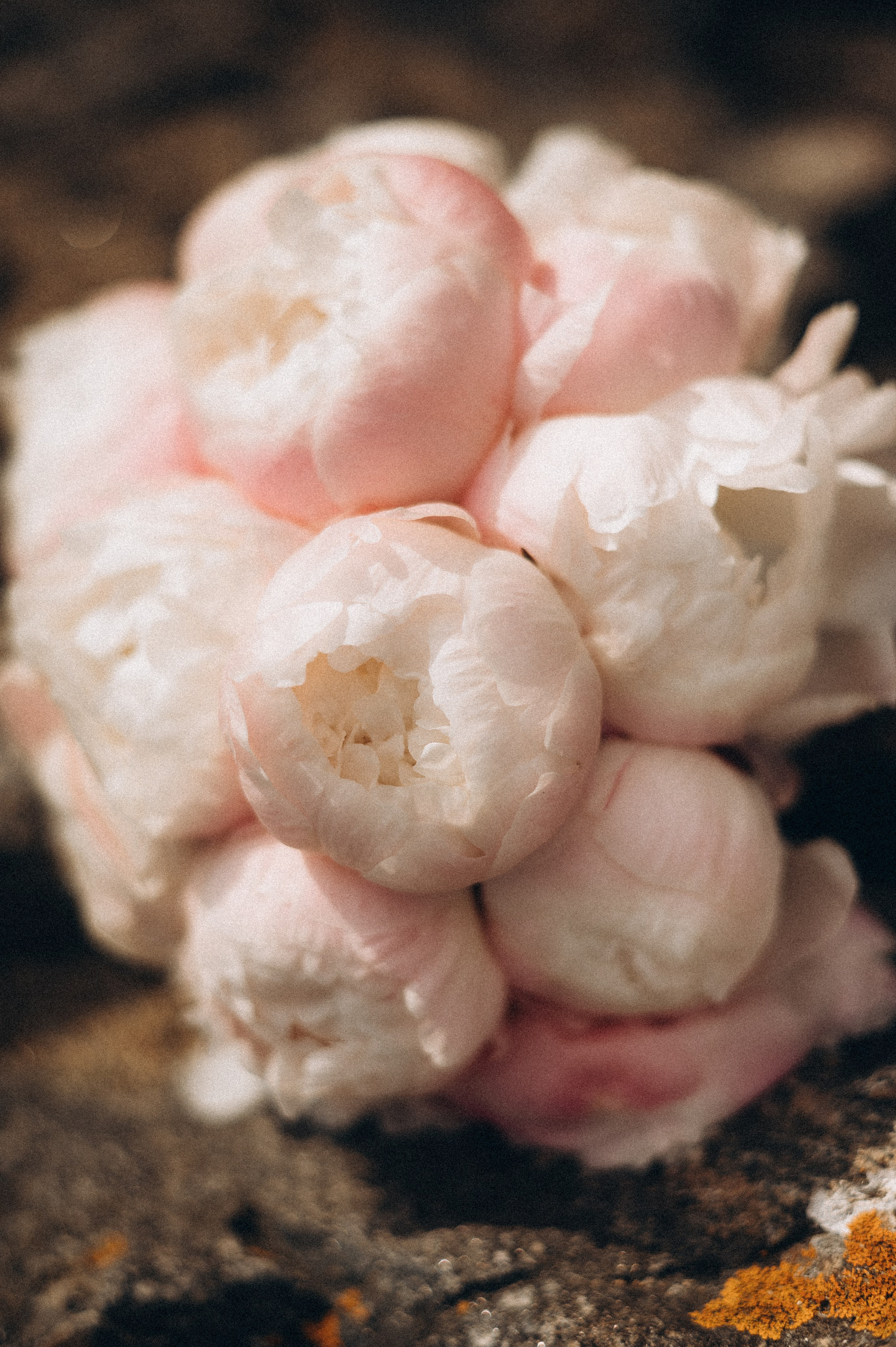 1. Фотограф в Иркутске