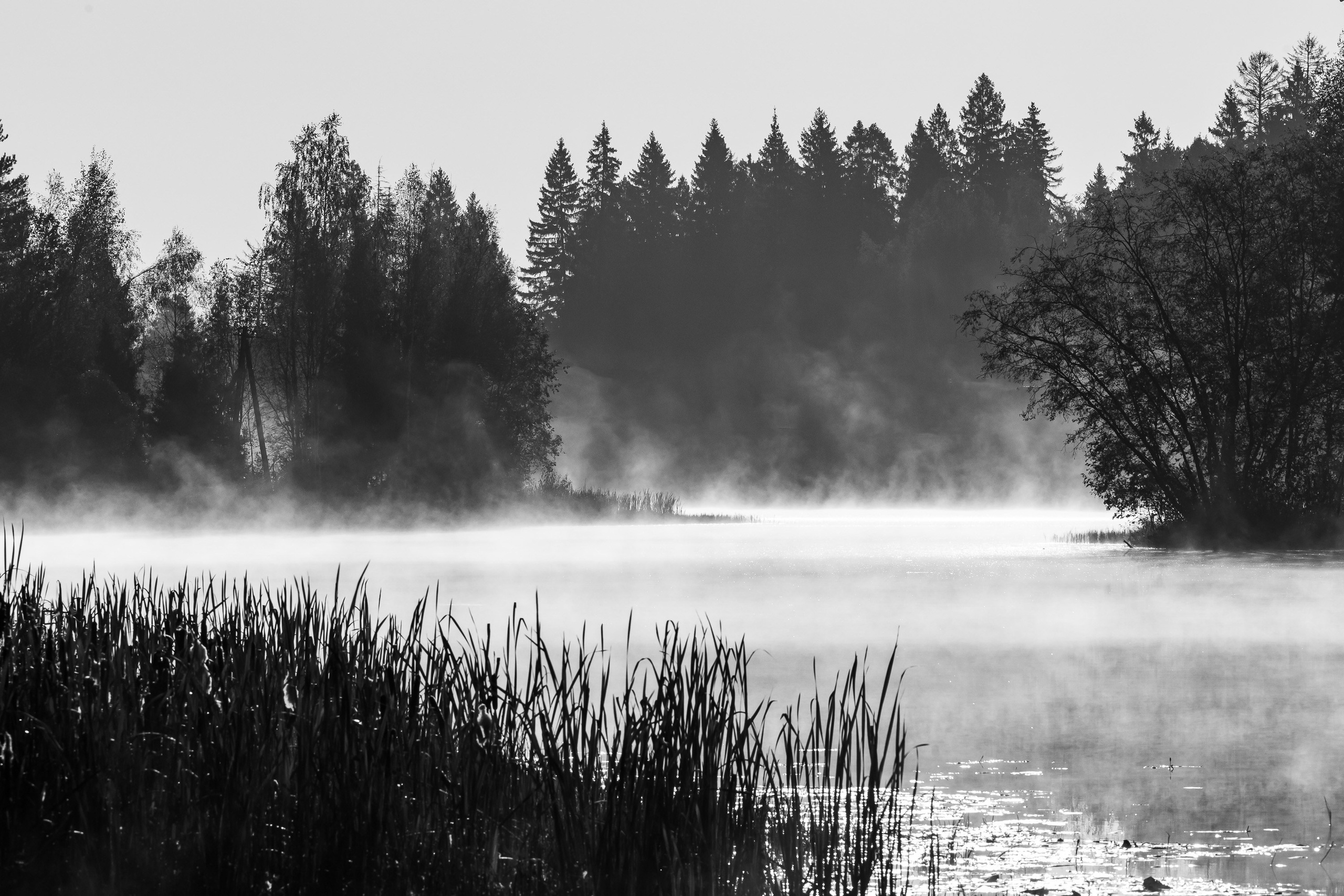 Природа. Фотограф Владимир Охрименко