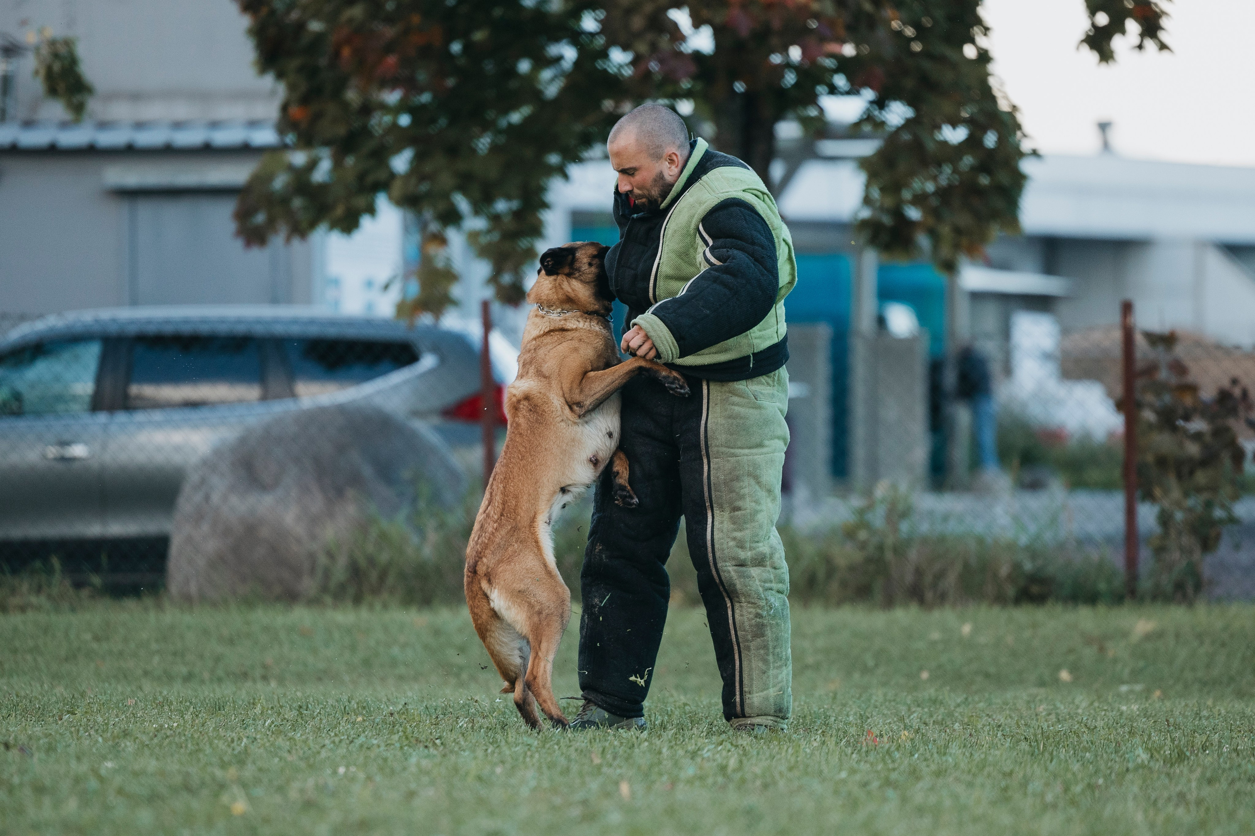 Испытания по мондьорингу г. Пушкин 29.09.2024. Фотограф-анималист Анна Маринич