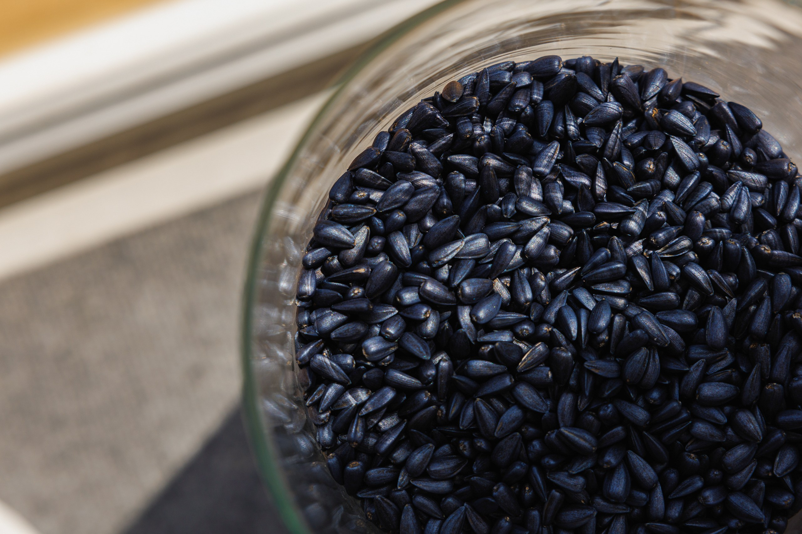 День Поля 2025 Волгоград. Фотограф Ставрополь Петр Голубенко