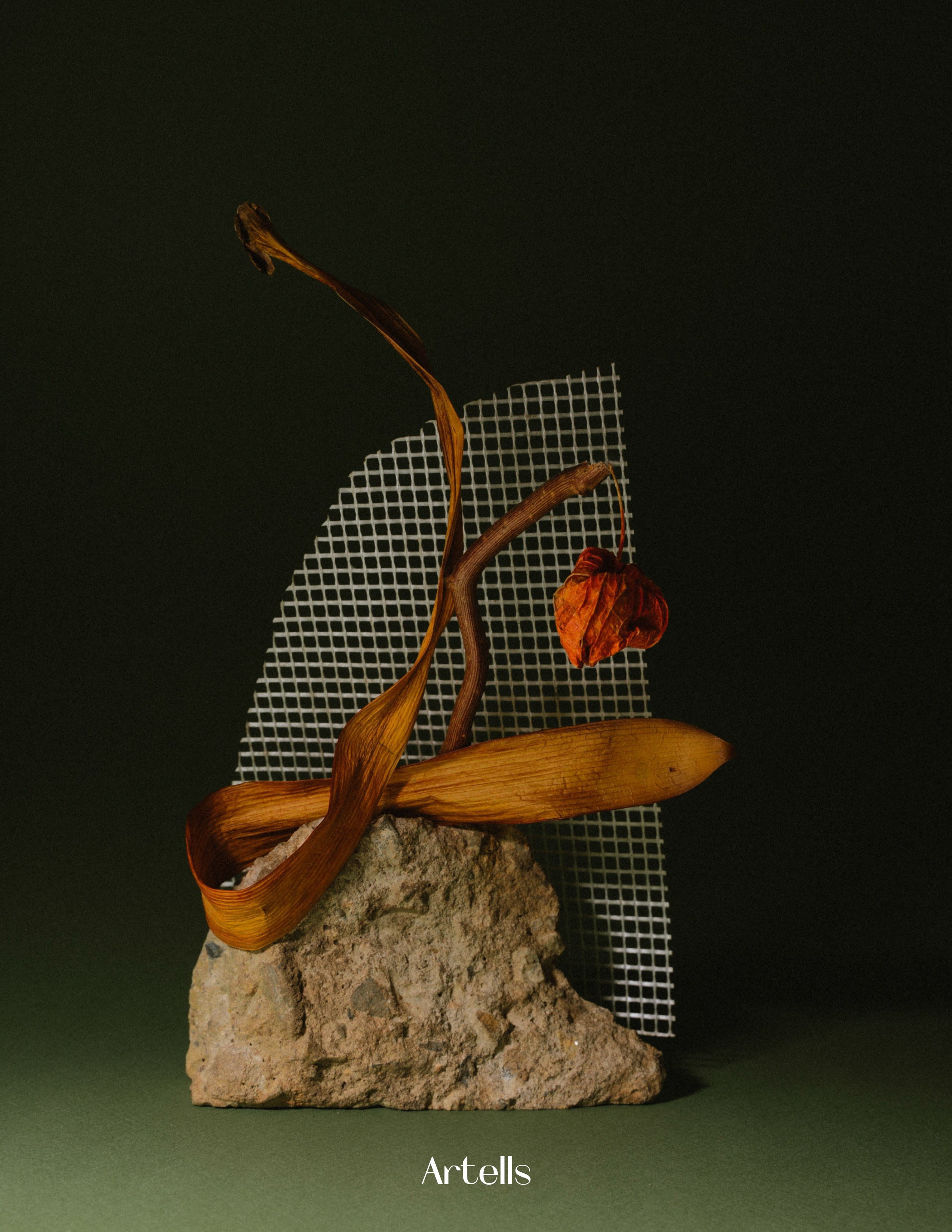 Artells Volume 1899. Асель Рембекова