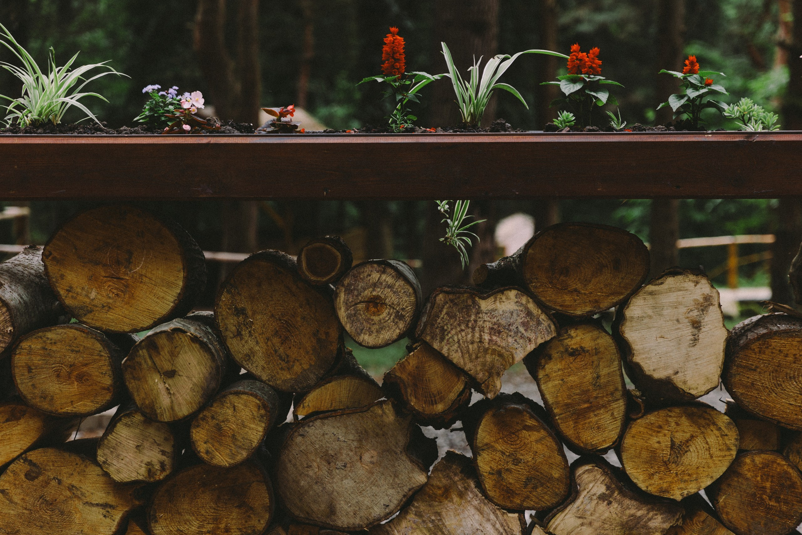 Фотограф на день рождения — ресторан Форест. Свадебный фотограф в Абхазии, Сухум, Гагра, Сочи