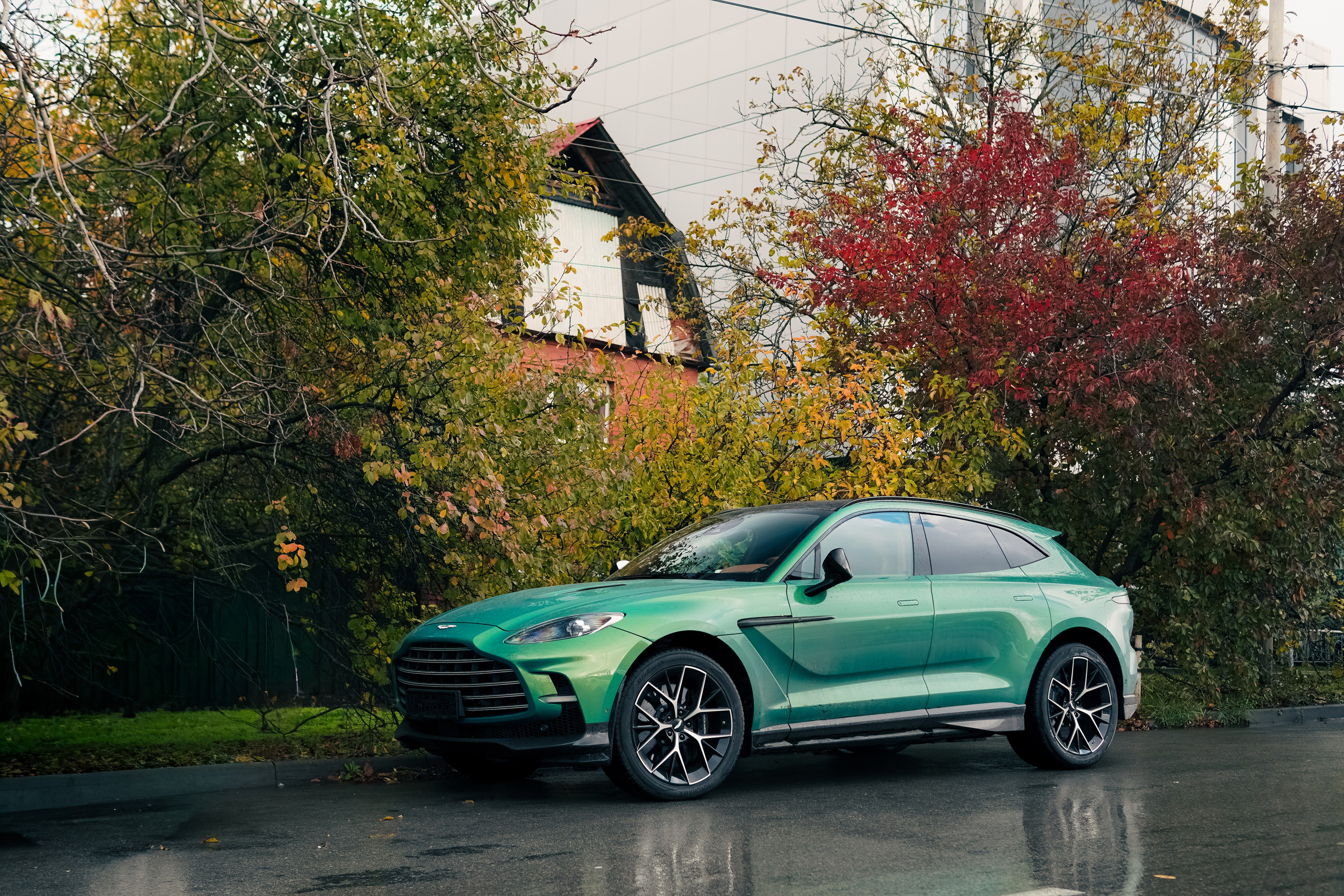 Aston Martin DBX 707. AutoAlexArt