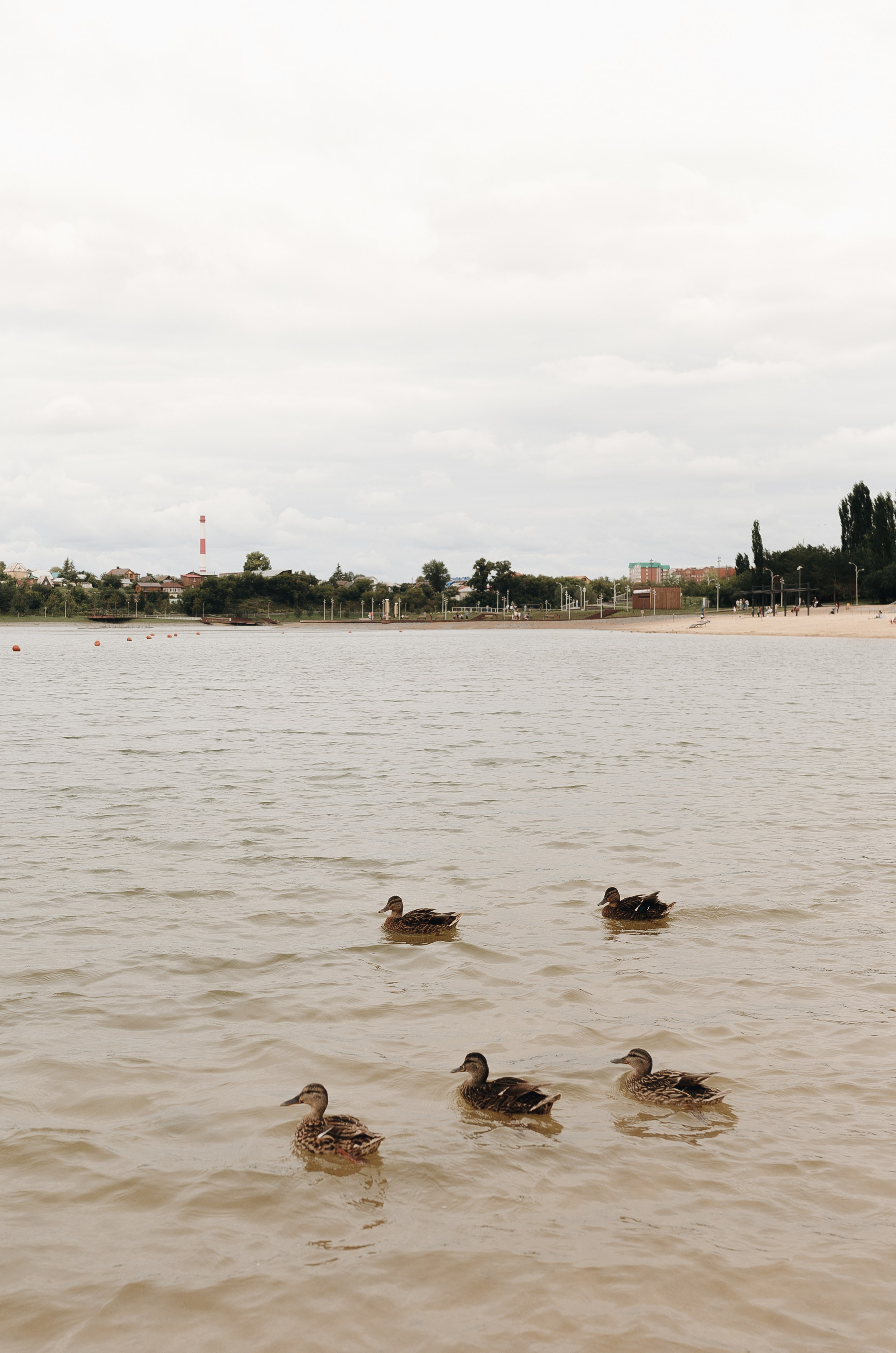 Три поколения. Семейный и домашний фотограф в Уфе Ирина Гарасюта