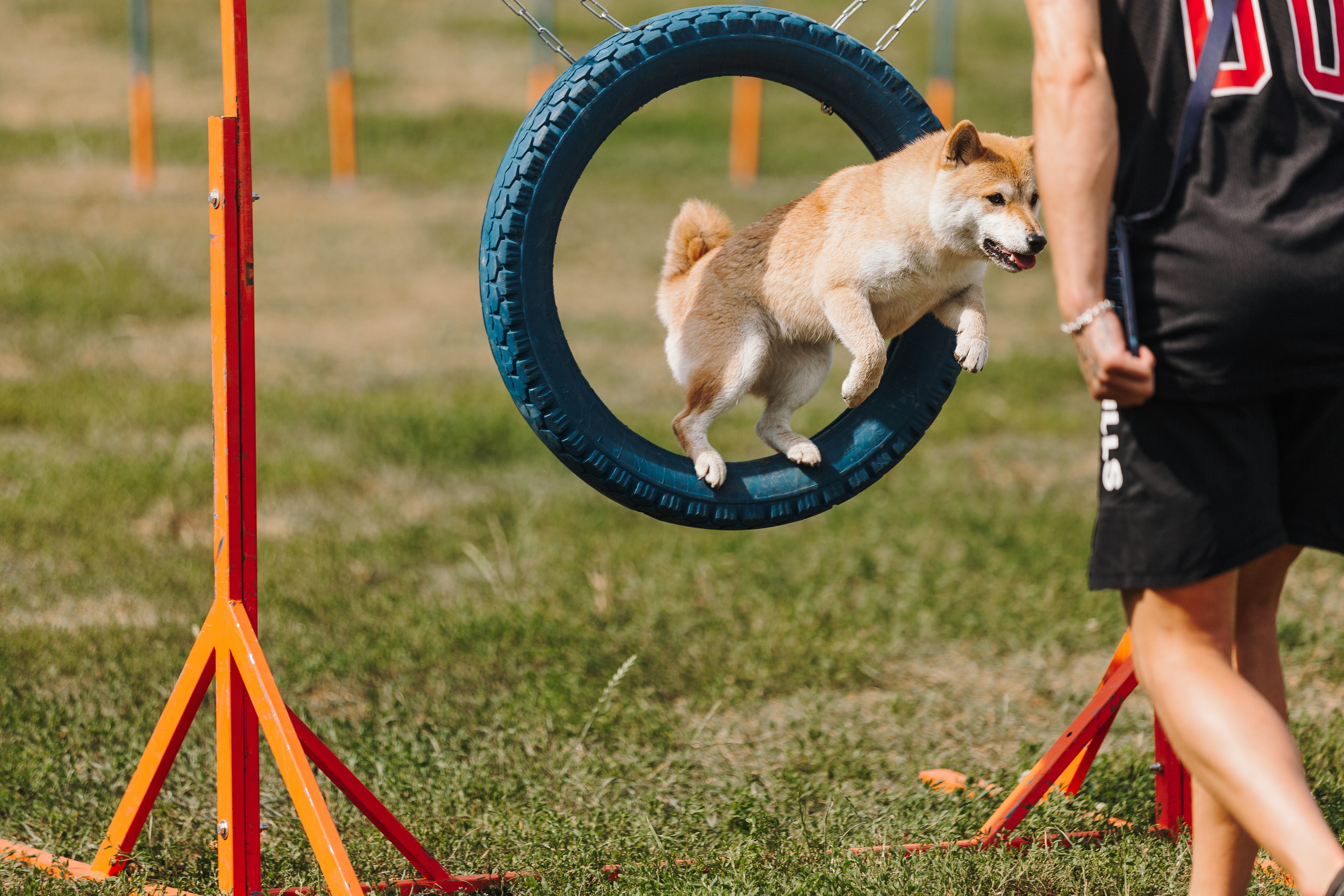 Petshop Sup day. Фотограф анималист Кристина Карпова, Москва