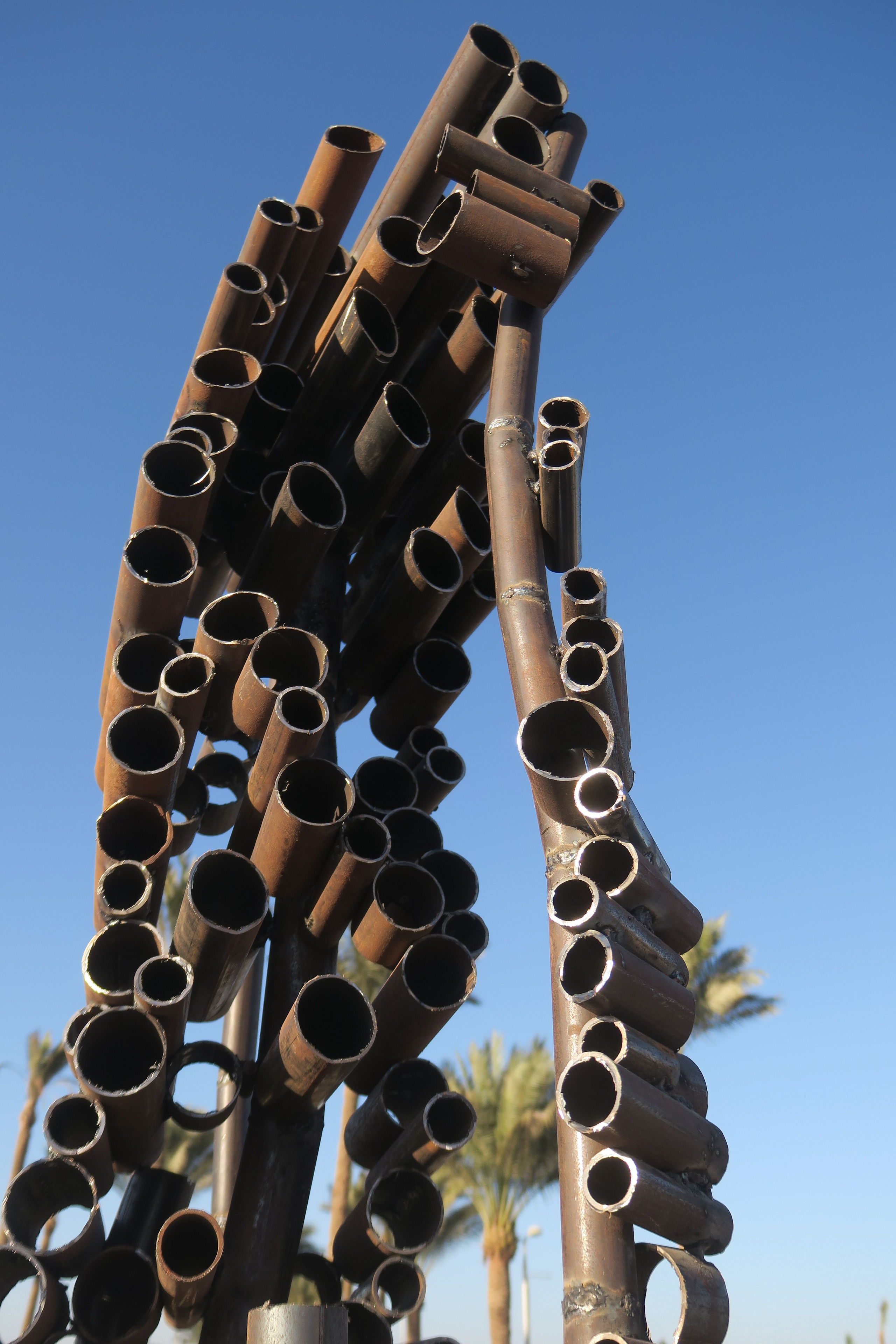 Человек дерево / Египет/ Хургада / 2018. Художник — скульптор Антонина Фатхуллина