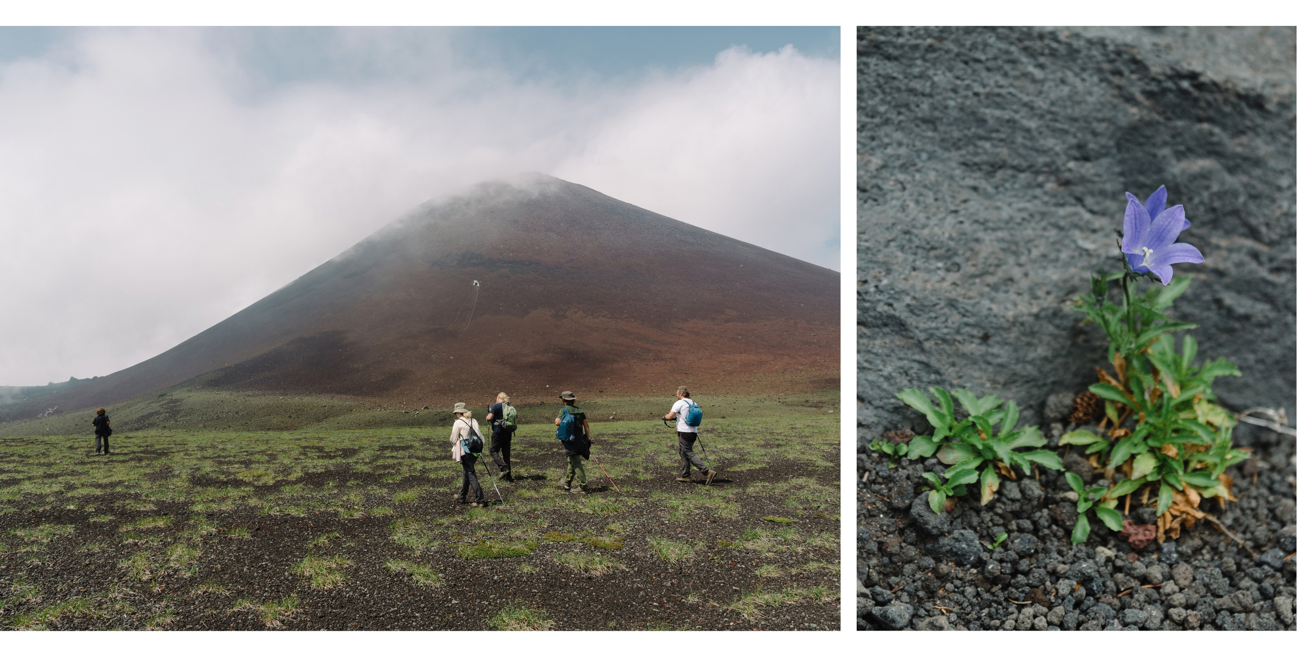 Сахалин и Курильские острова. Фотограф Алиса Калинина