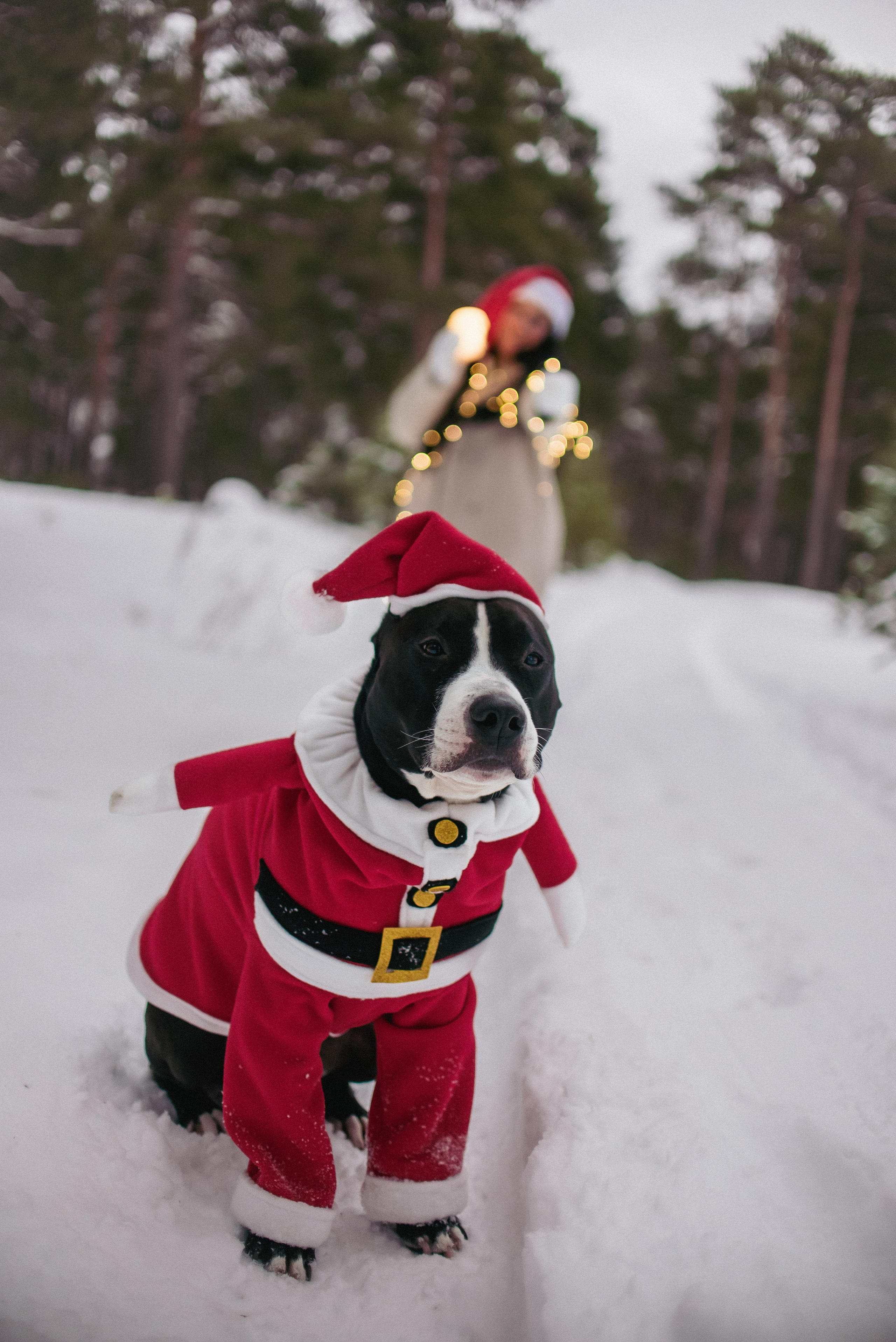 Зимняя фотосессия в лесу. Фотограф Макс Огурцов в Нижнем Новгороде
