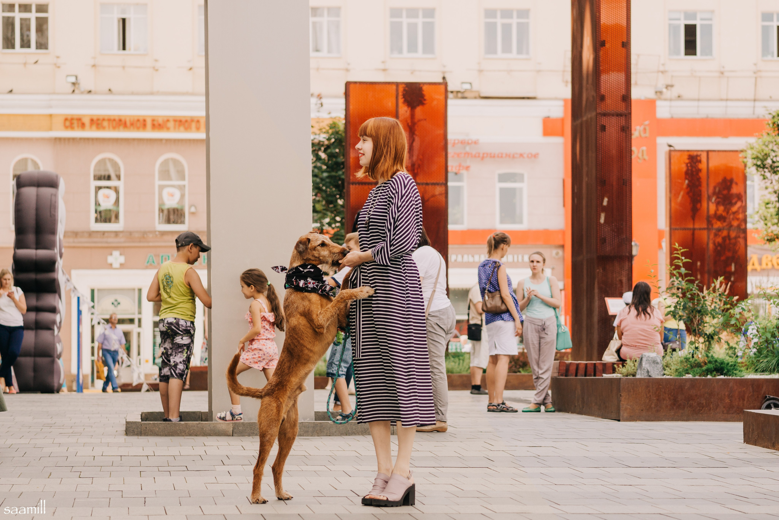 Life with dog. Saamill