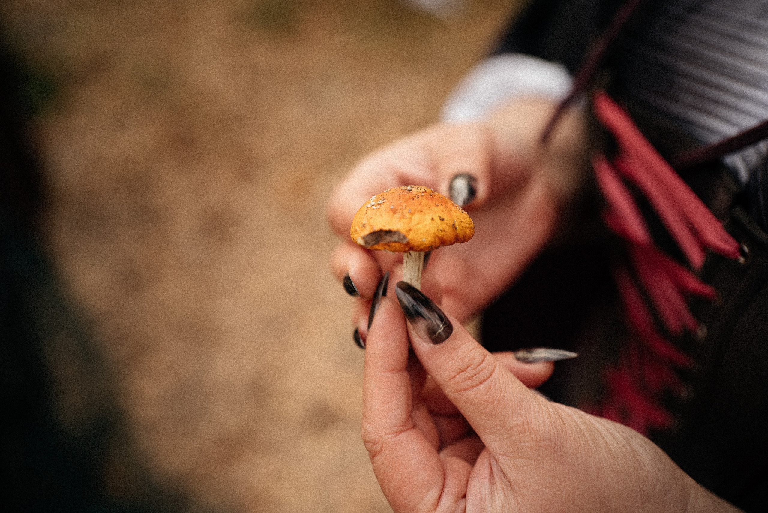Hocus Pocus. Фотограф в Казани Екатерина Христовская